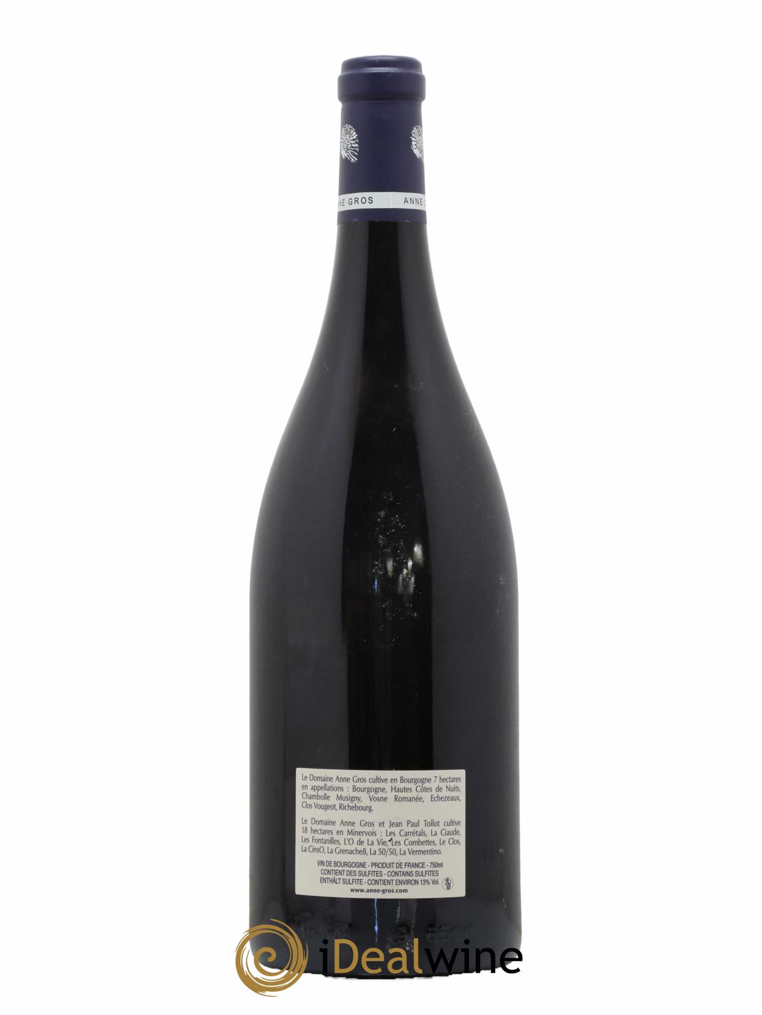 Richebourg Grand Cru Anne Gros 2020 - Lot de 1 magnum - 1