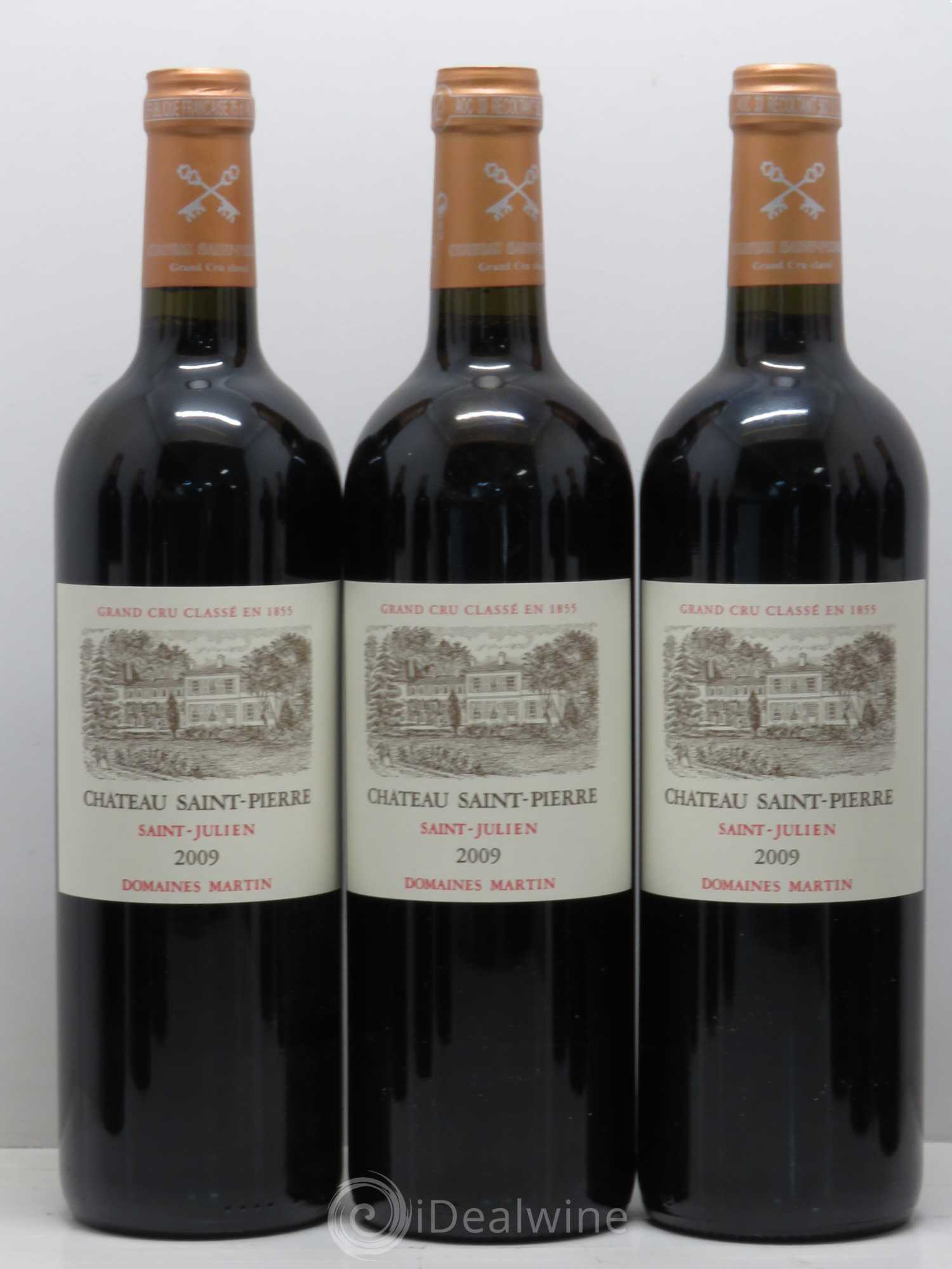 Château Saint-Pierre 4ème Grand Cru Classé 2009 - Lot de 12 bouteilles - 2