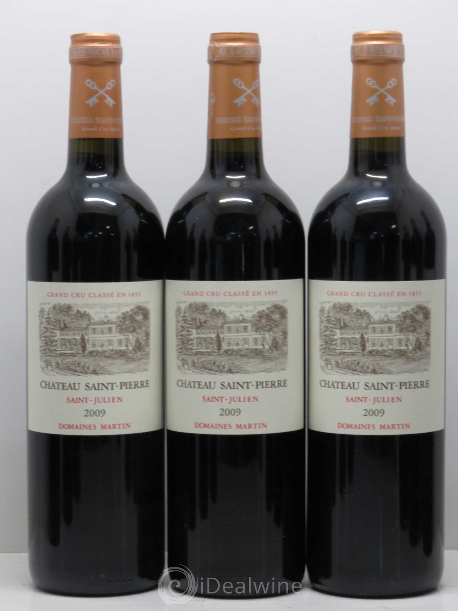 Château Saint-Pierre 4ème Grand Cru Classé 2009 - Lot de 12 bouteilles - 4