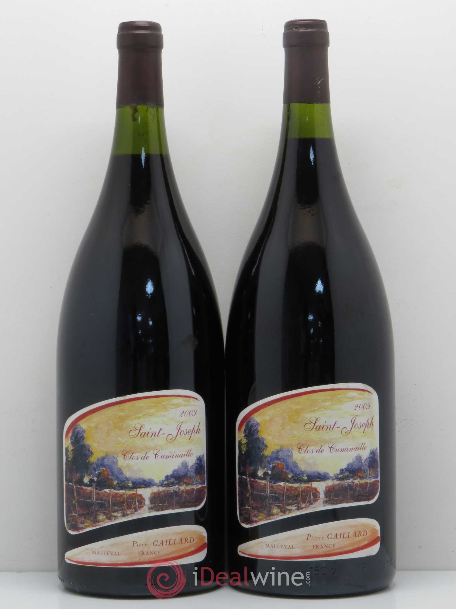 Saint-Joseph Clos de Cuminaille Pierre Gaillard 2009 - Posten von 2 Magnum - 0