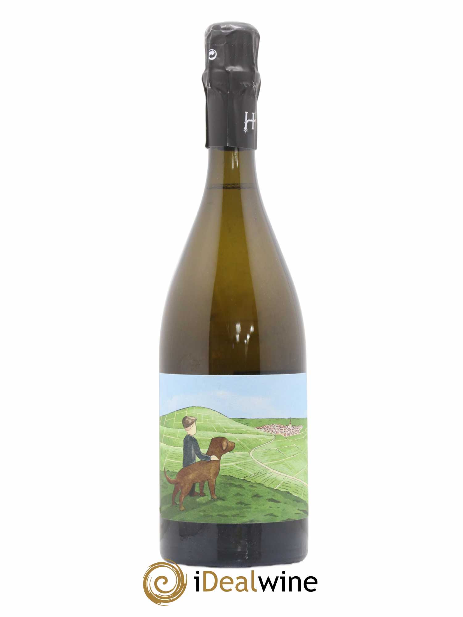 Gamin du Terroir Romain Henin 2018 - Lot de 1 bouteille - 0