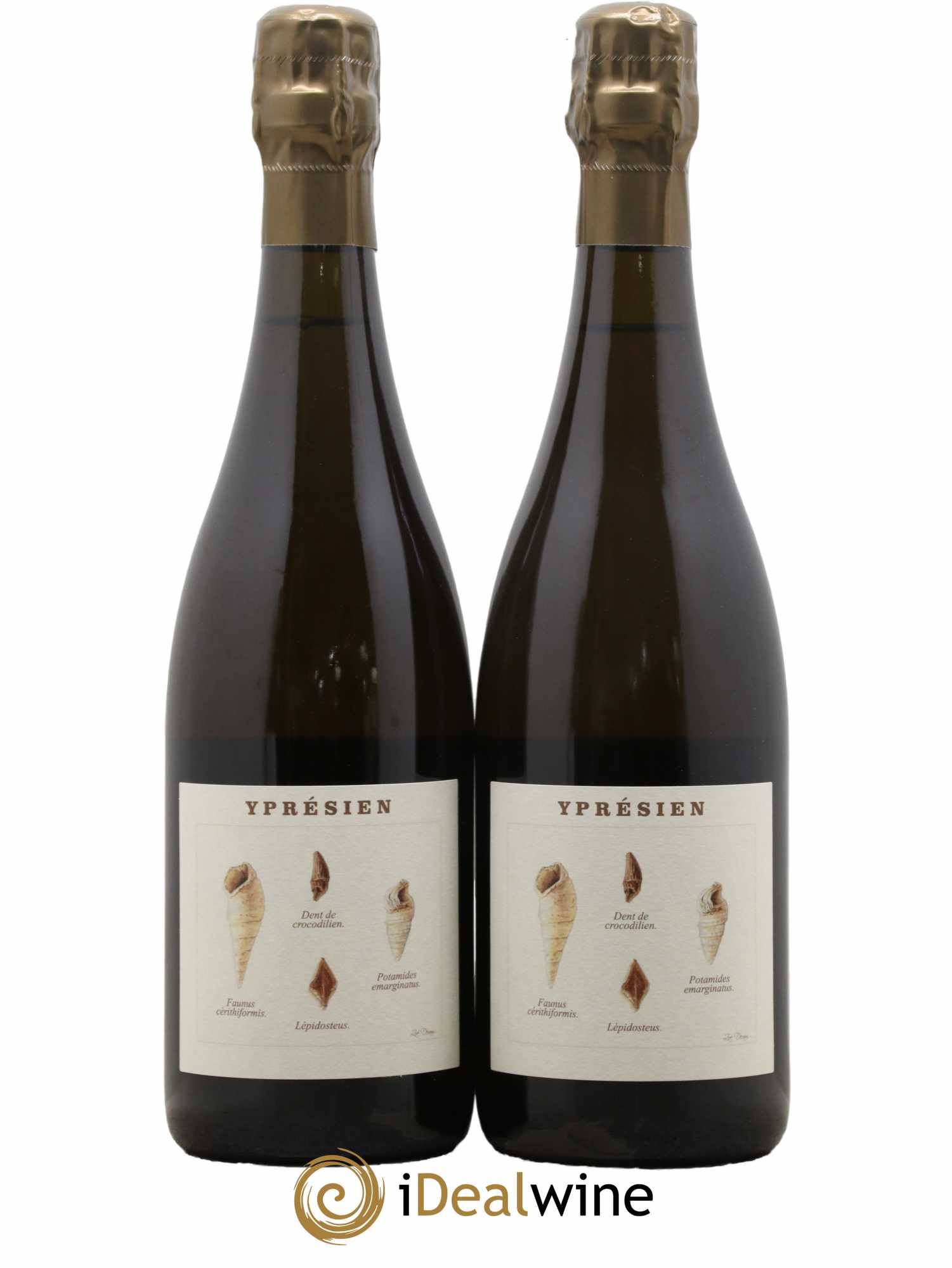 Yprésien Legrand Latour - Lot de 2 bouteilles - 0
