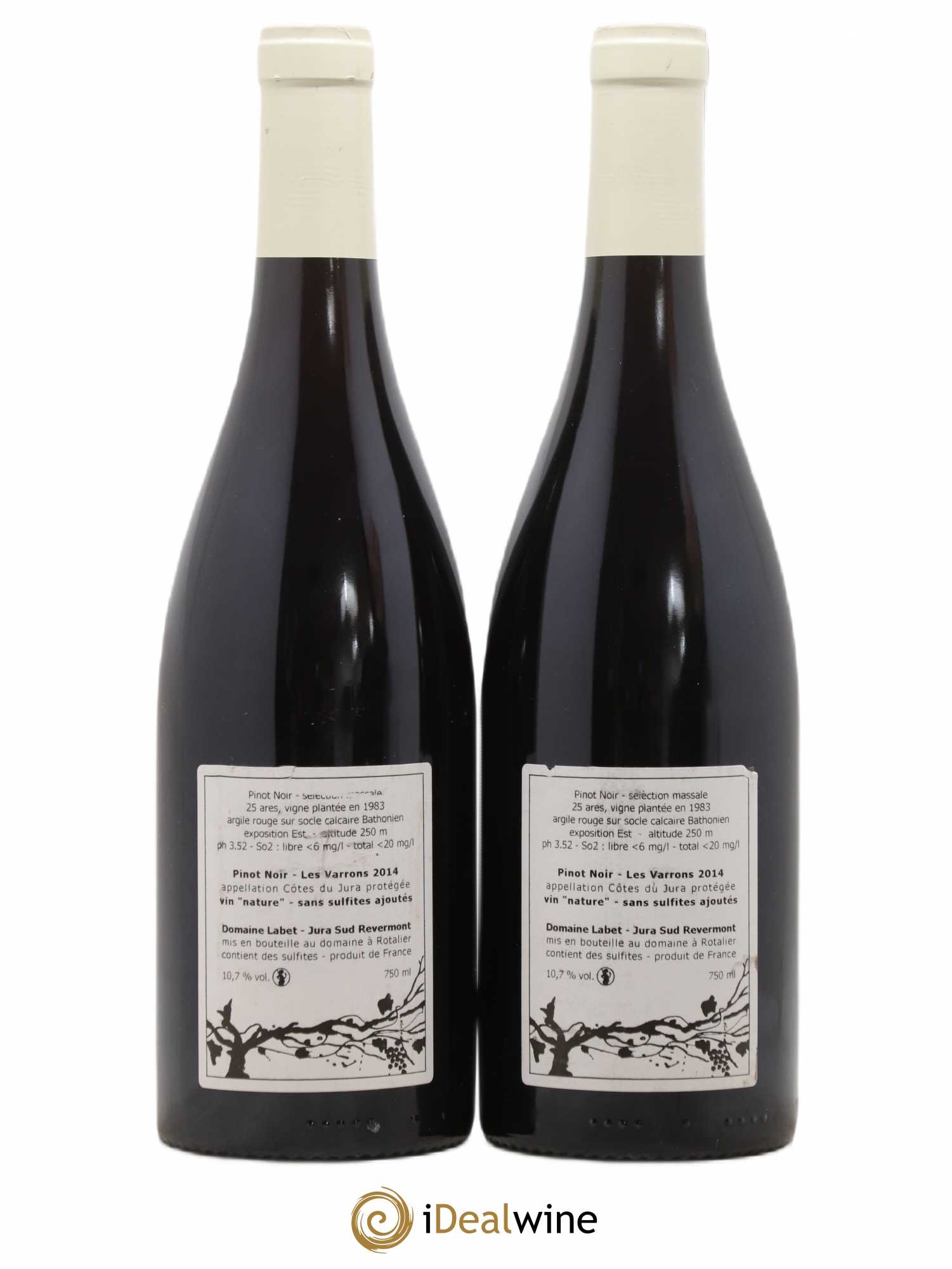 Côtes du Jura Pinot Noir Les Varrons Sélection Massale Romain - Julien  - Charline Labet 2014 - Lot de 2 bouteilles - 1