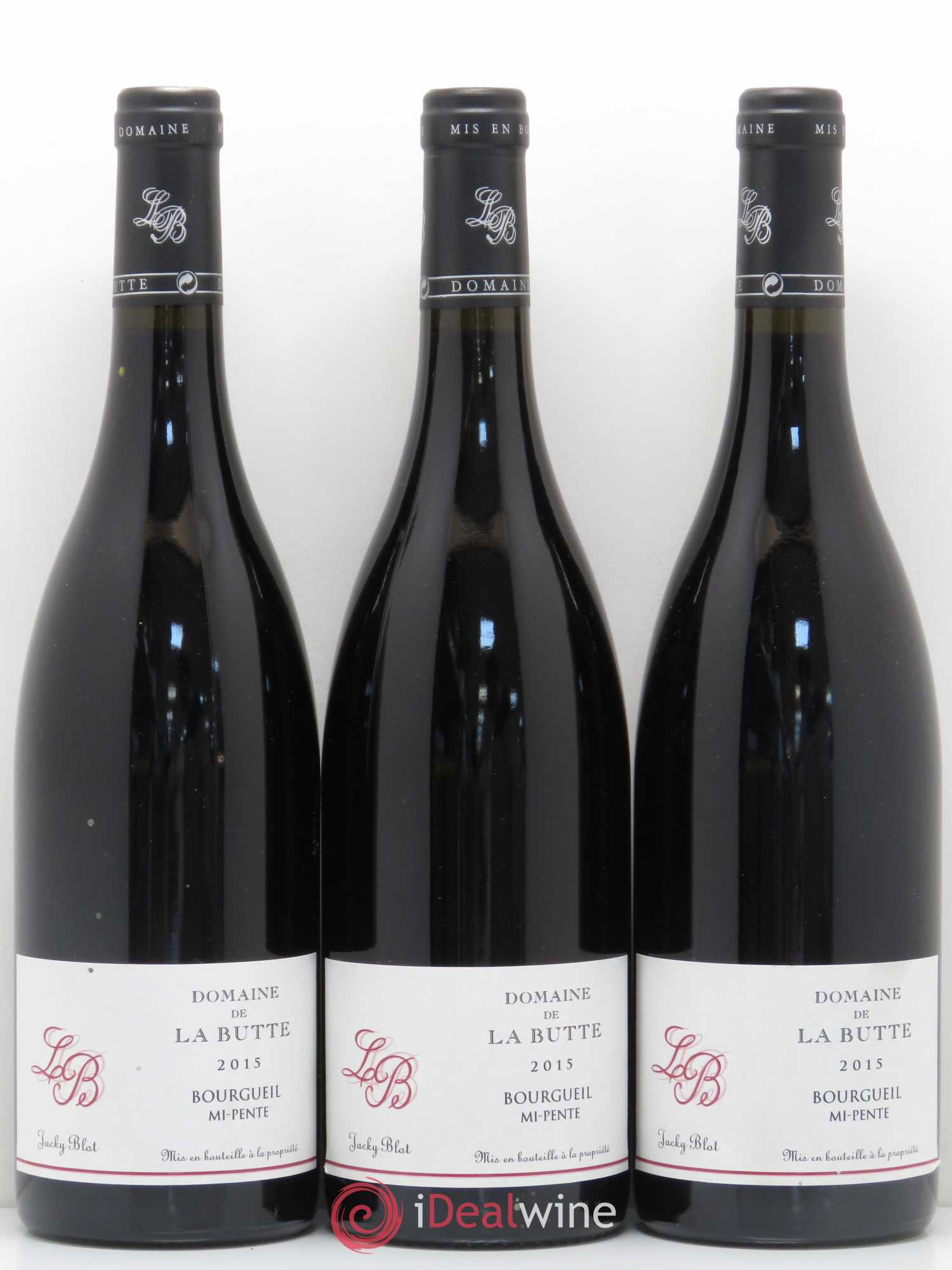 Bourgueil Mi-Pente Jacky Blot 2015 - Posten von 6 Flaschen - 1