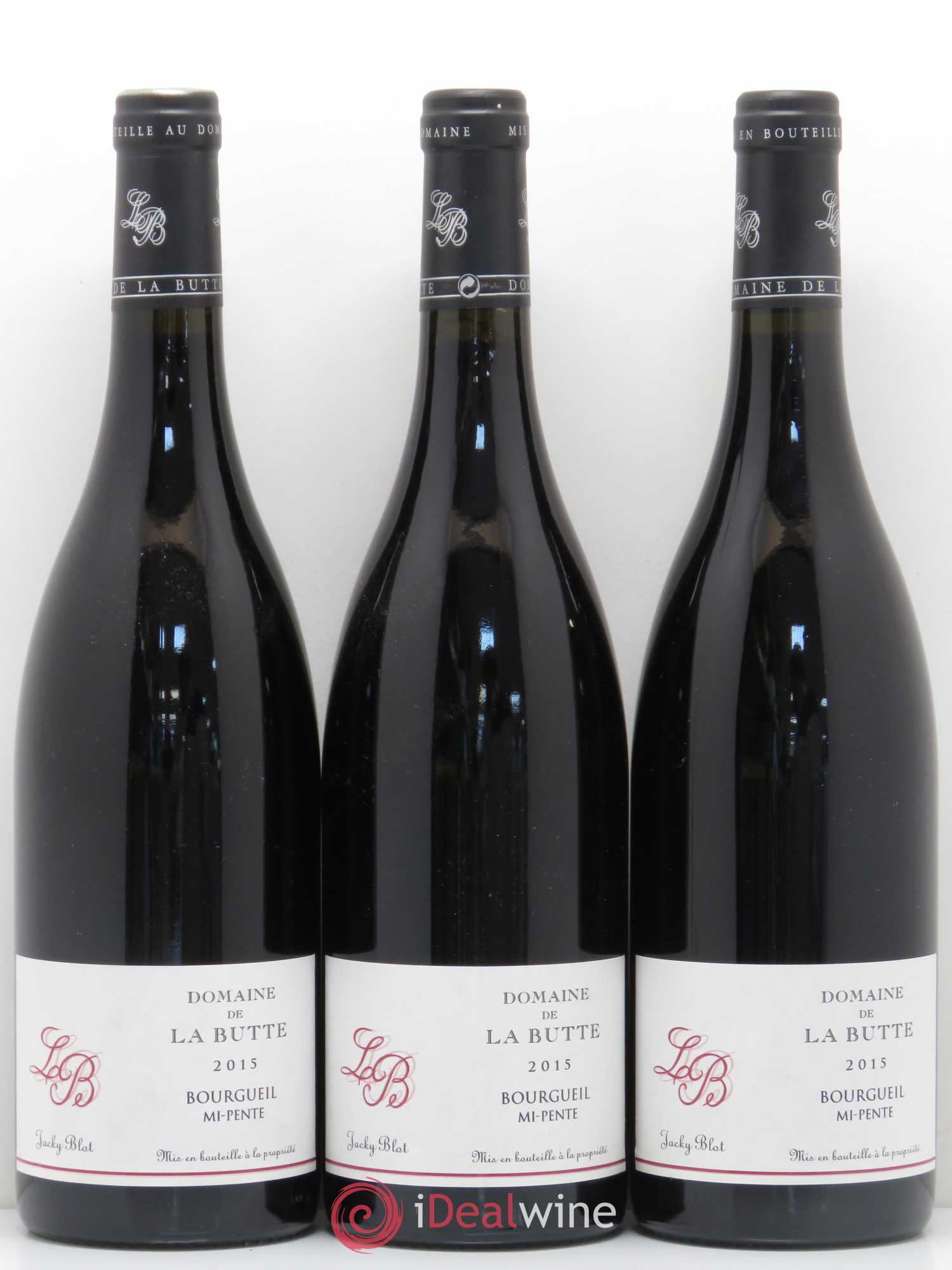 Bourgueil Mi-Pente Jacky Blot 2015 - Posten von 6 Flaschen - 2