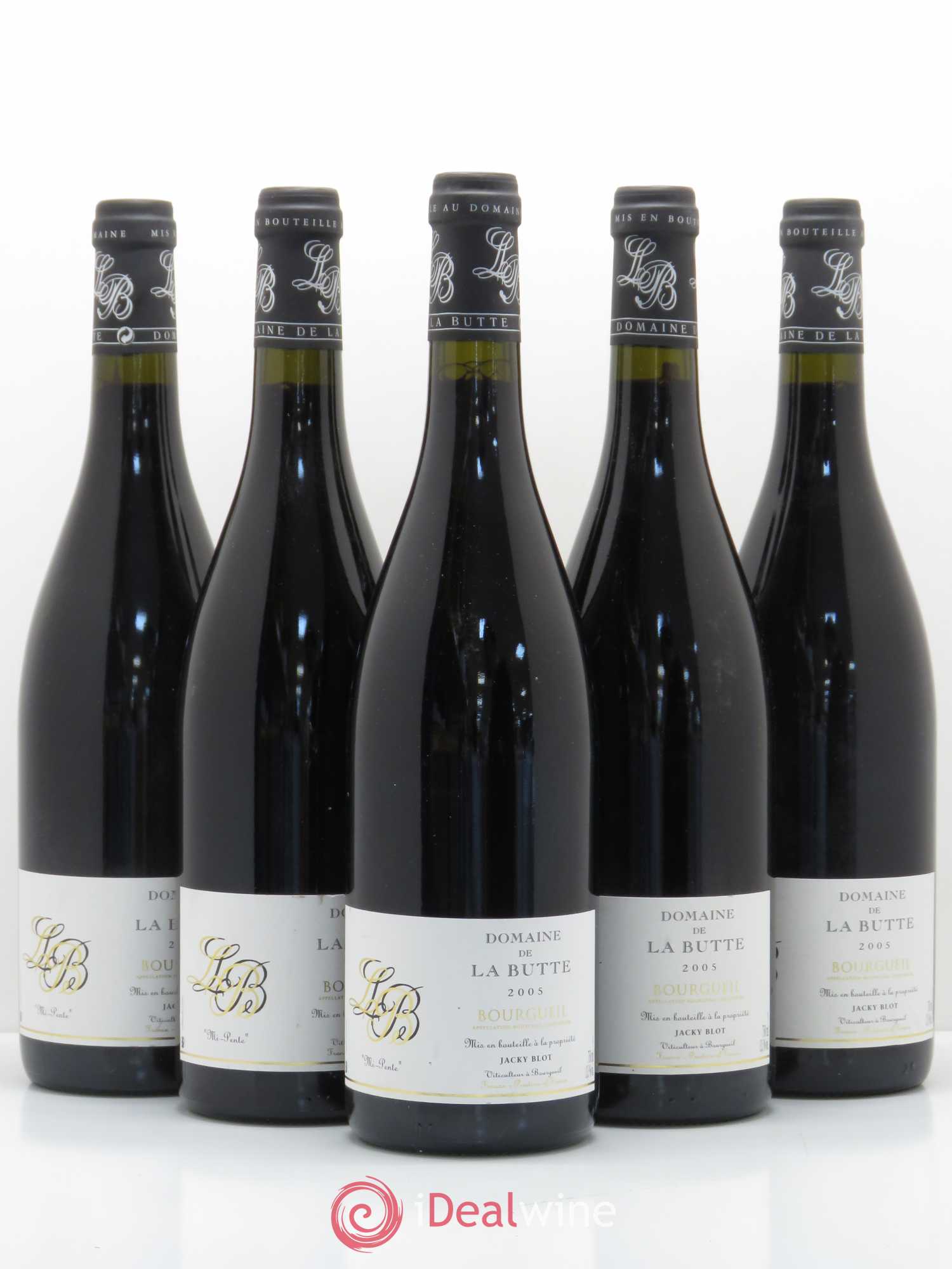 Bourgueil Mi-Pente Jacky Blot 2005 - Posten von 5 Flaschen - 0