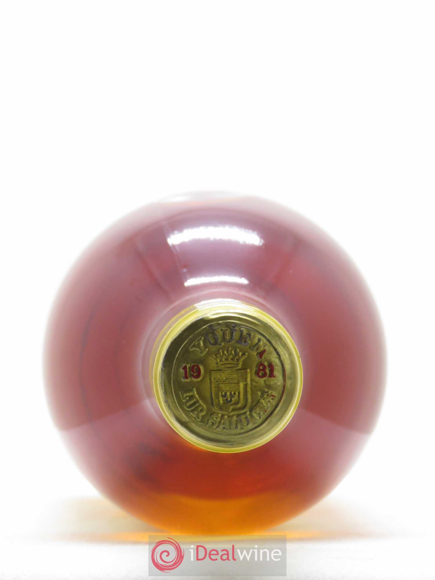 Château d' Yquem 1er Cru Classé Supérieur 1981 - Lotto di 1 bottiglia - 1