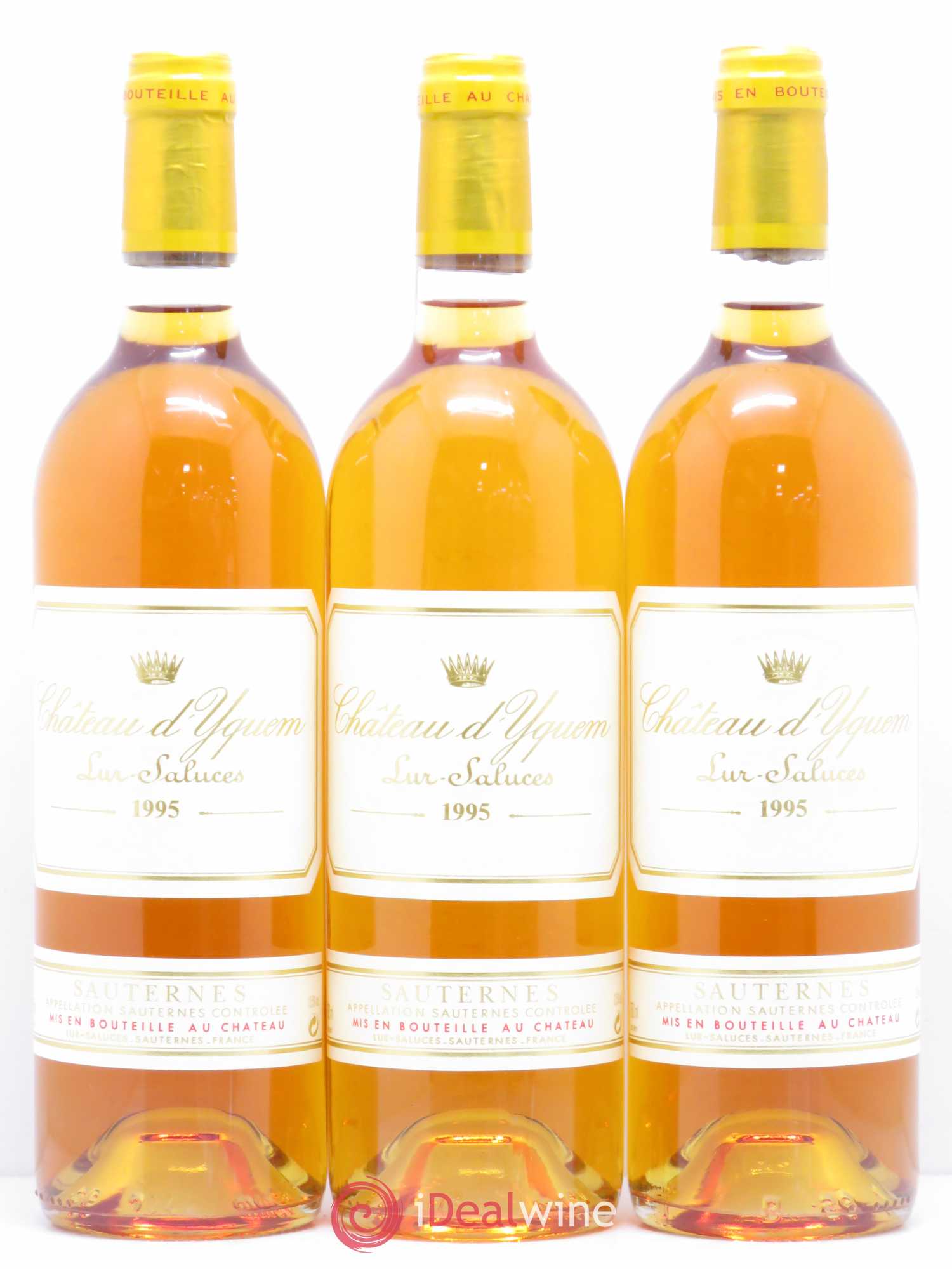 Château d' Yquem 1er Cru Classé Supérieur 1995 - Lotto di 12 bottiglie - 1