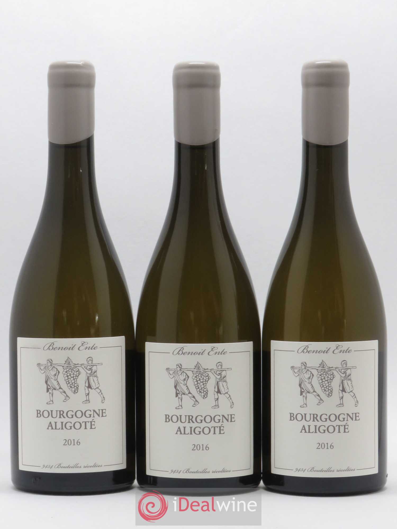 Bourgogne Aligoté Benoit Ente (sans prix de réserve) 2016 - Lot de 3 bouteilles - 0