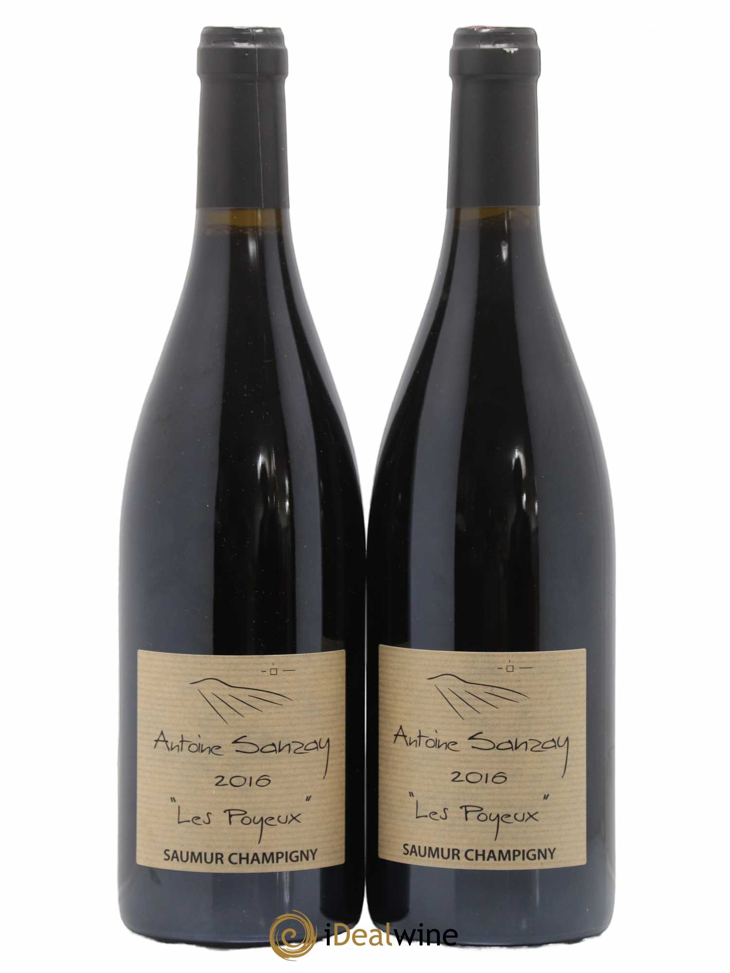 Saumur-Champigny Les Poyeux Antoine Sanzay 2016 - Lot de 2 bouteilles - 0