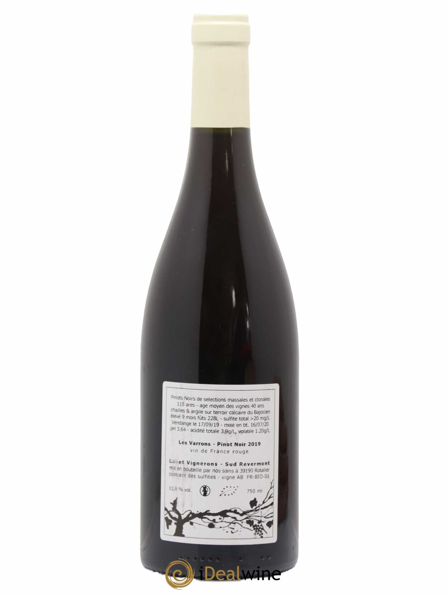 Côtes du Jura Pinot Noir Les Varrons Sélection Massale Romain - Julien - Charline Labet 2019 - Lot de 1 bouteille - 1
