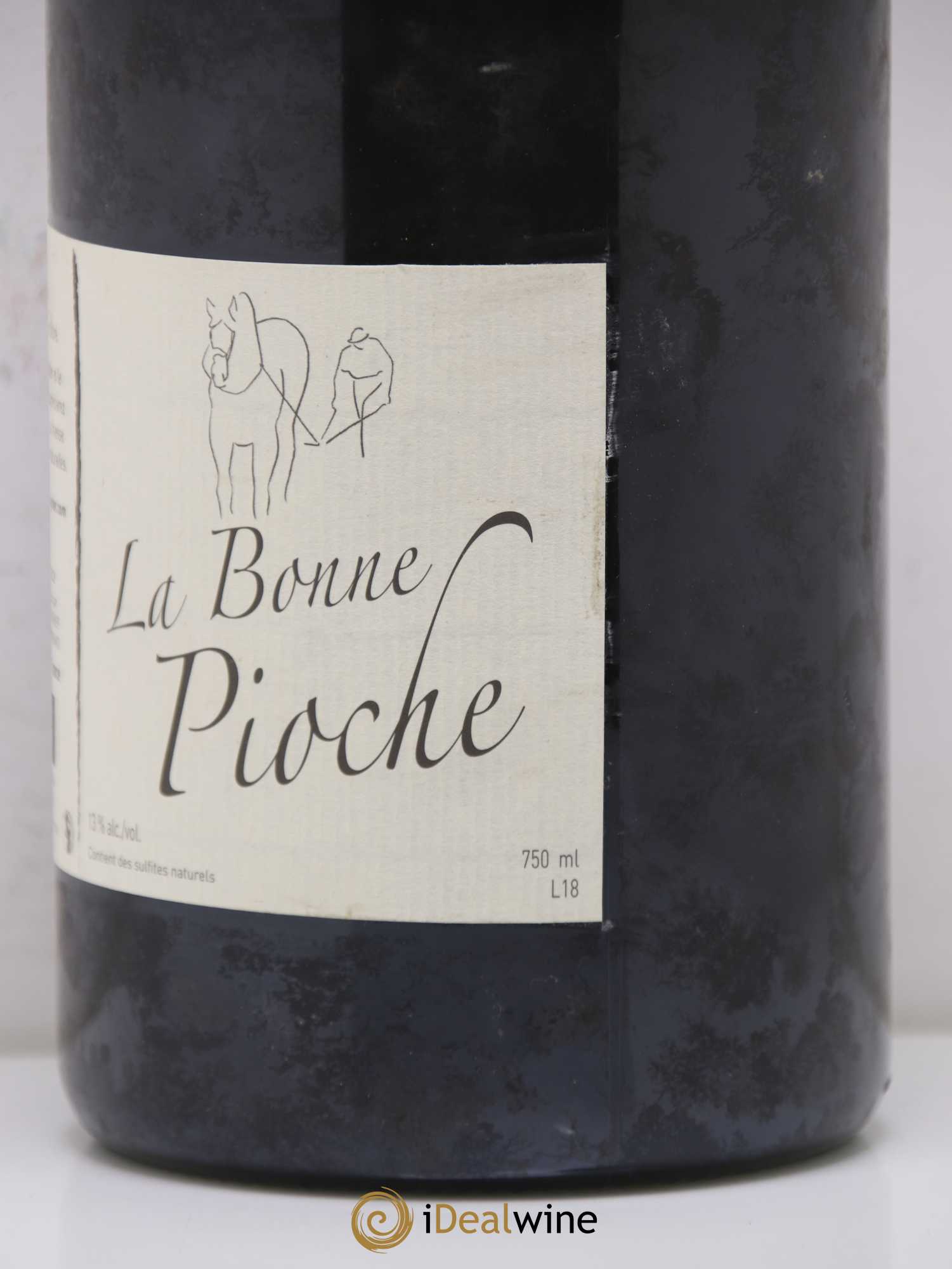 Vin de France Bonne pioche Domaine Michel Guignier 2018 - Posten von 1 Magnum - 1