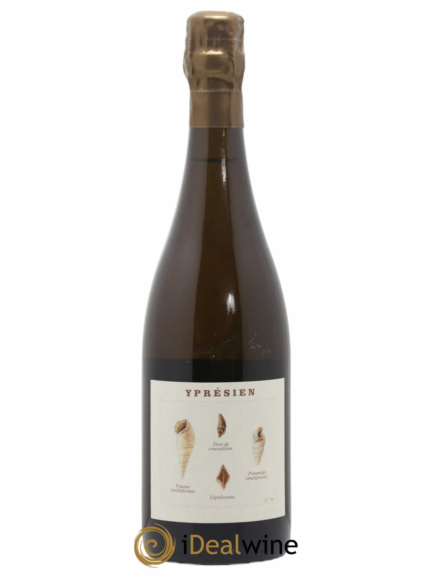 Champagne Iprésien Domaine Legrand Latour 2018 - Posten von 1 Flasche - 0