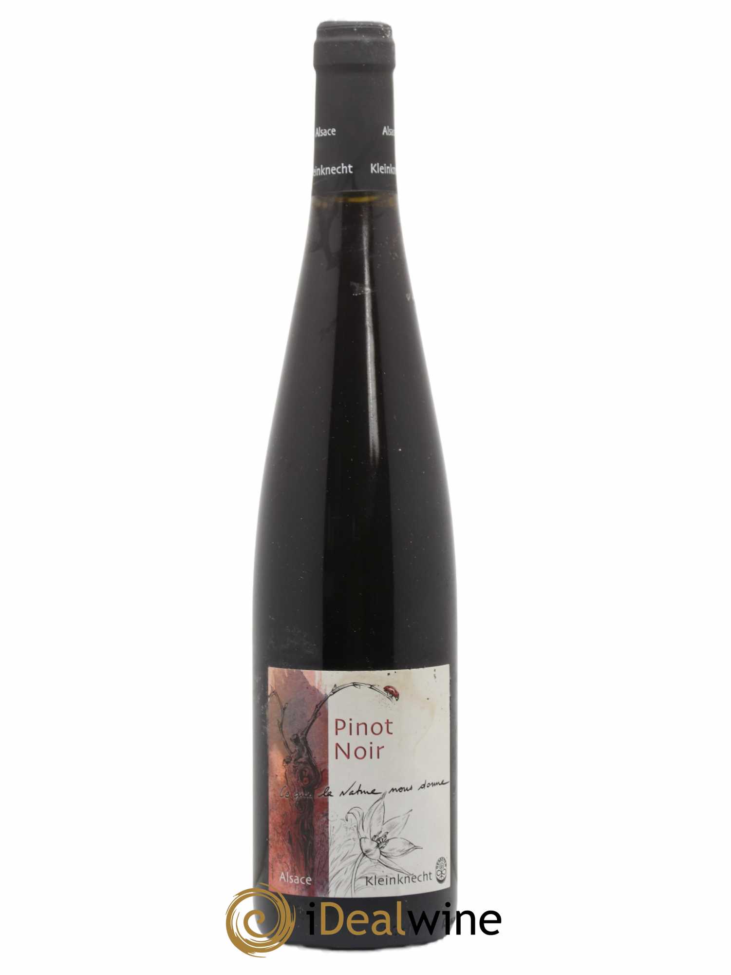 Alsace Ce Que La Nature Nous Donne Domaine Kleinknecht 2019 - Posten von 1 Flasche - 0