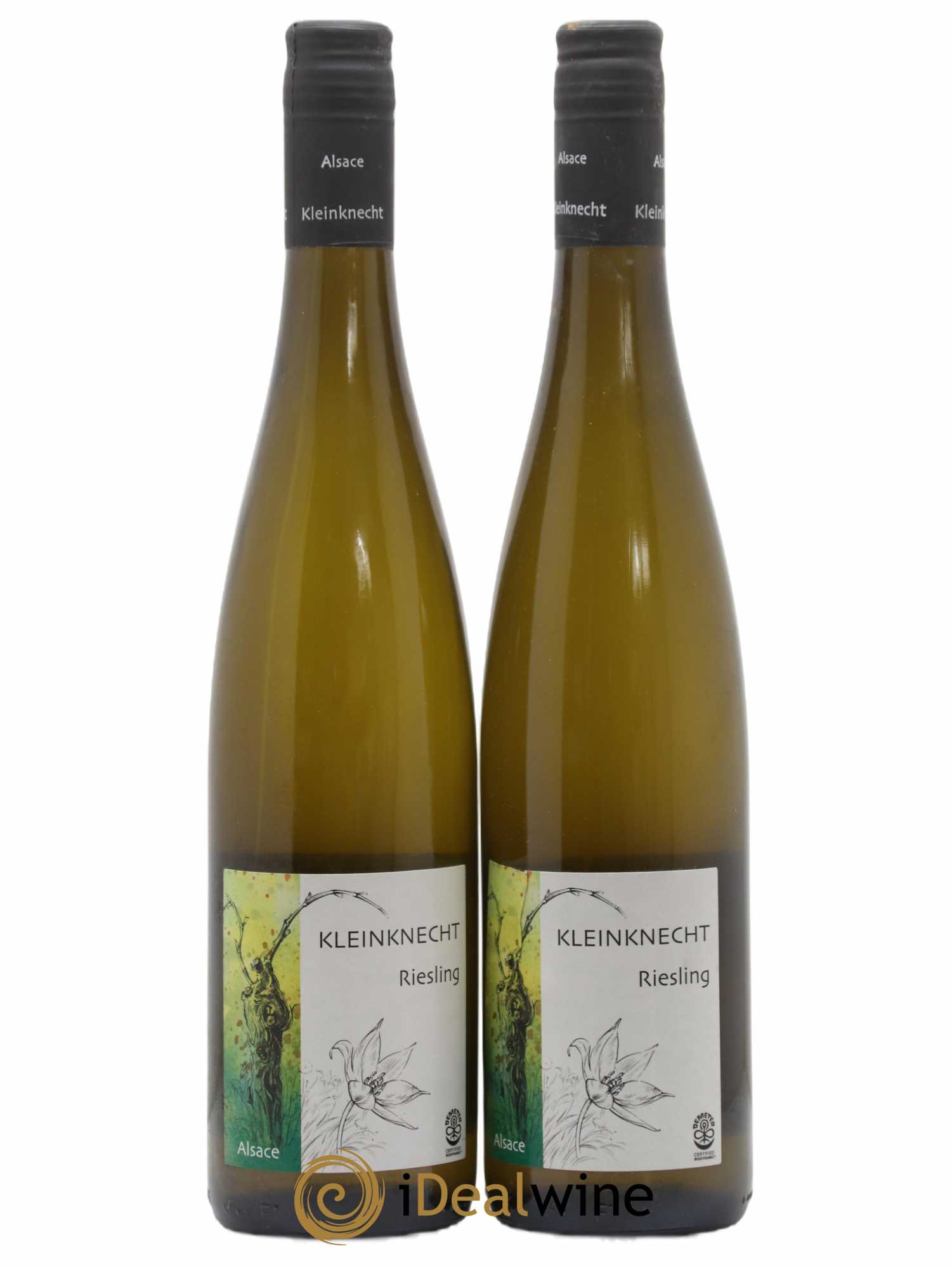 Riesling Non Filtre Domaine Kleinknecht 2019 - Posten von 2 Flaschen - 0