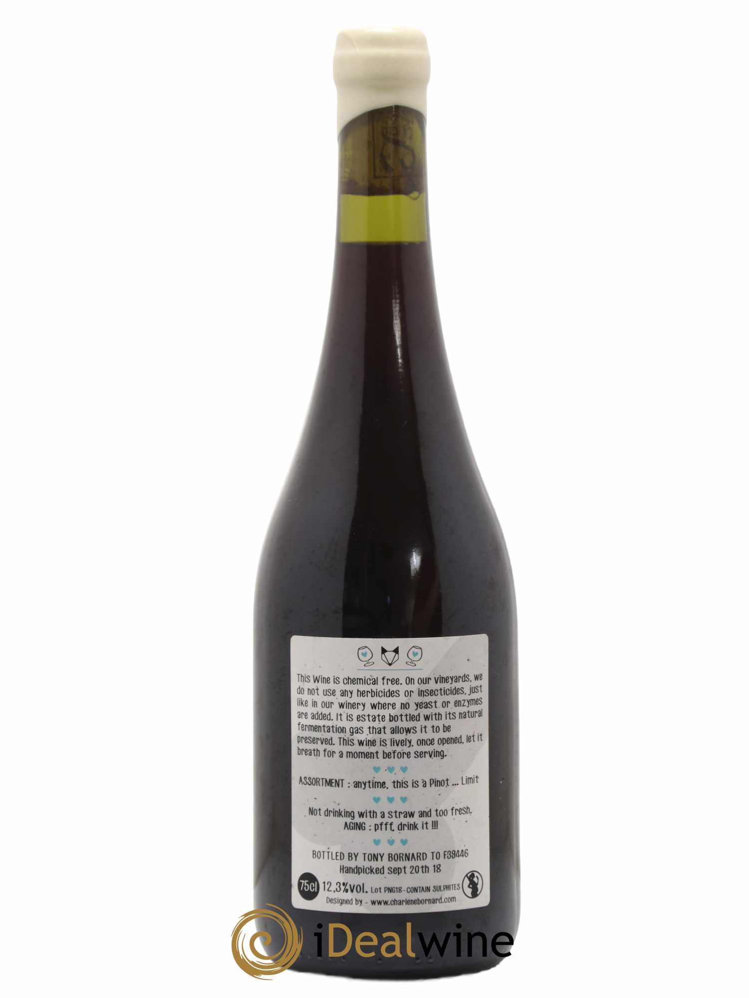 Vin de France Le pinot Ctambule Domaine Tony Bornard 2018 - Posten von 1 Flasche - 1