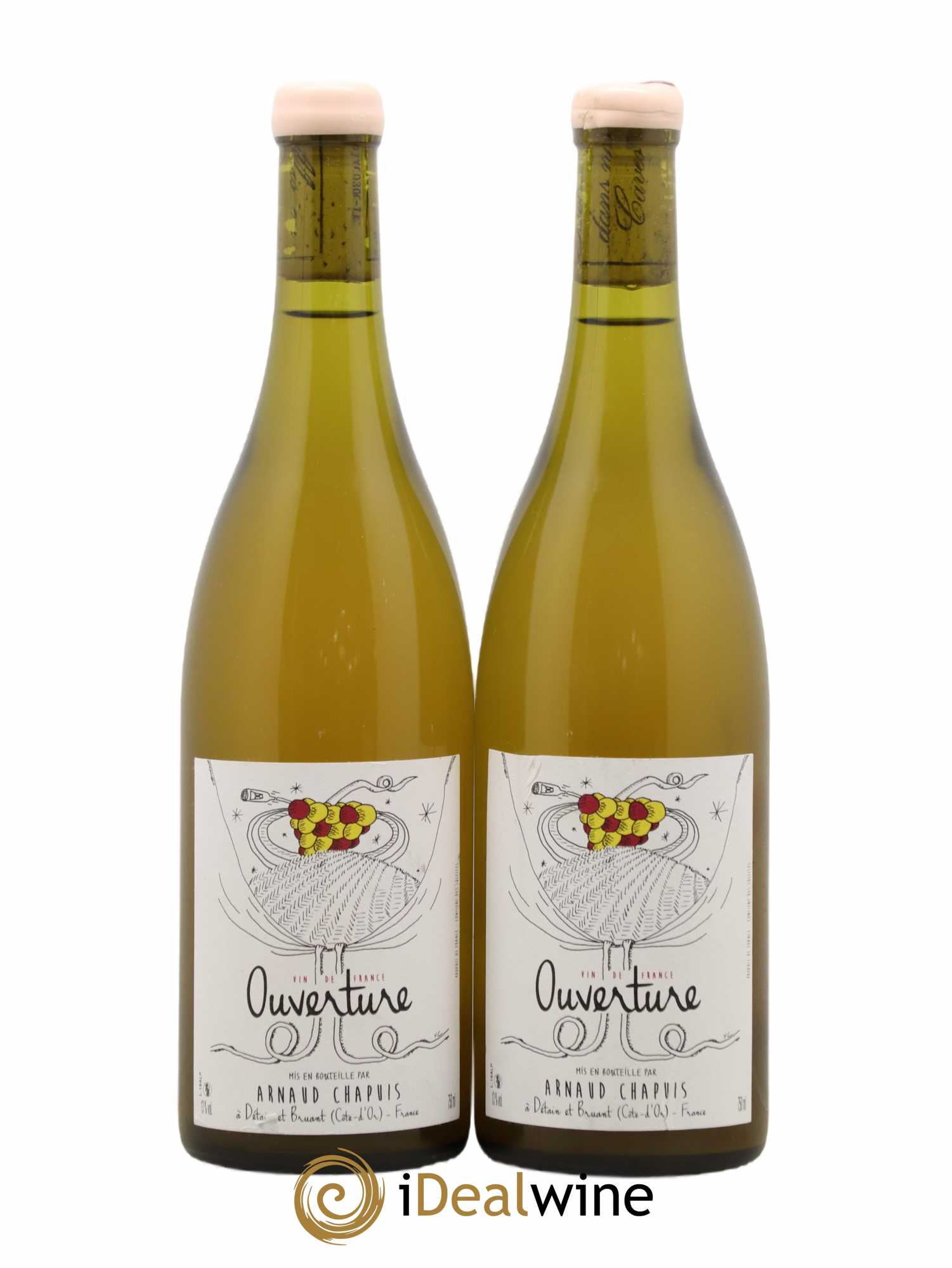 Vin de France Aligoté L'Ouverture Domaine Arnaud Chapuis 2018 - Lot de 2 bouteilles - 0