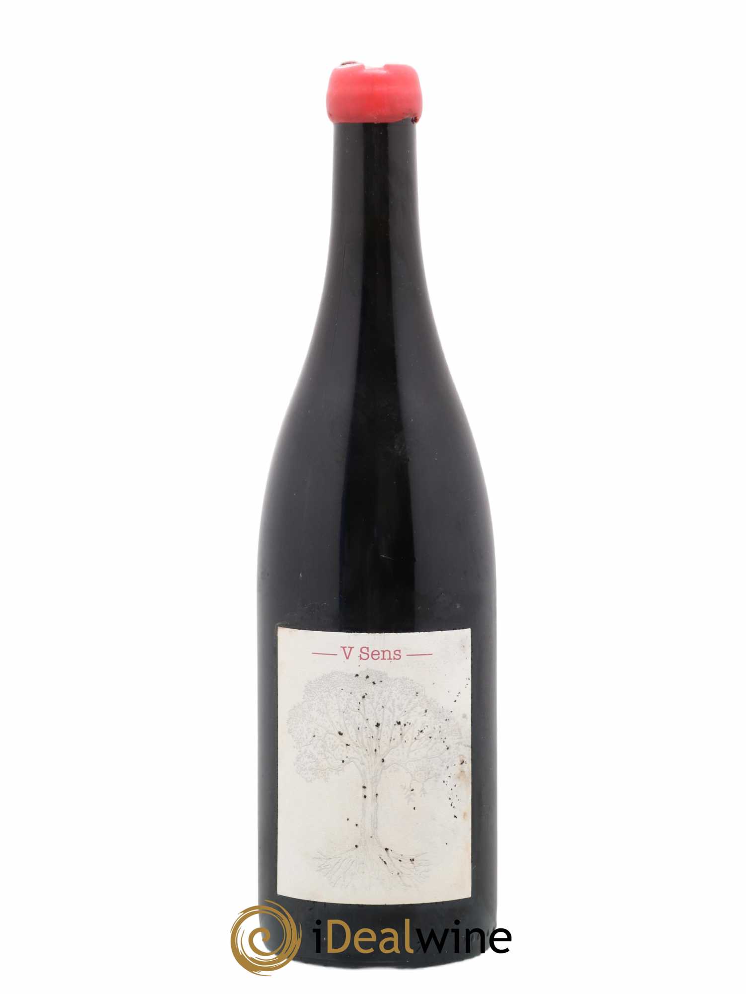 Vin de France V Sens Jérôme Bretaudeau - Domaine de Bellevue Apeiron Domaine Les Innocents Bruno Vacon 2018 - Lotto di 1 bottiglia - 0