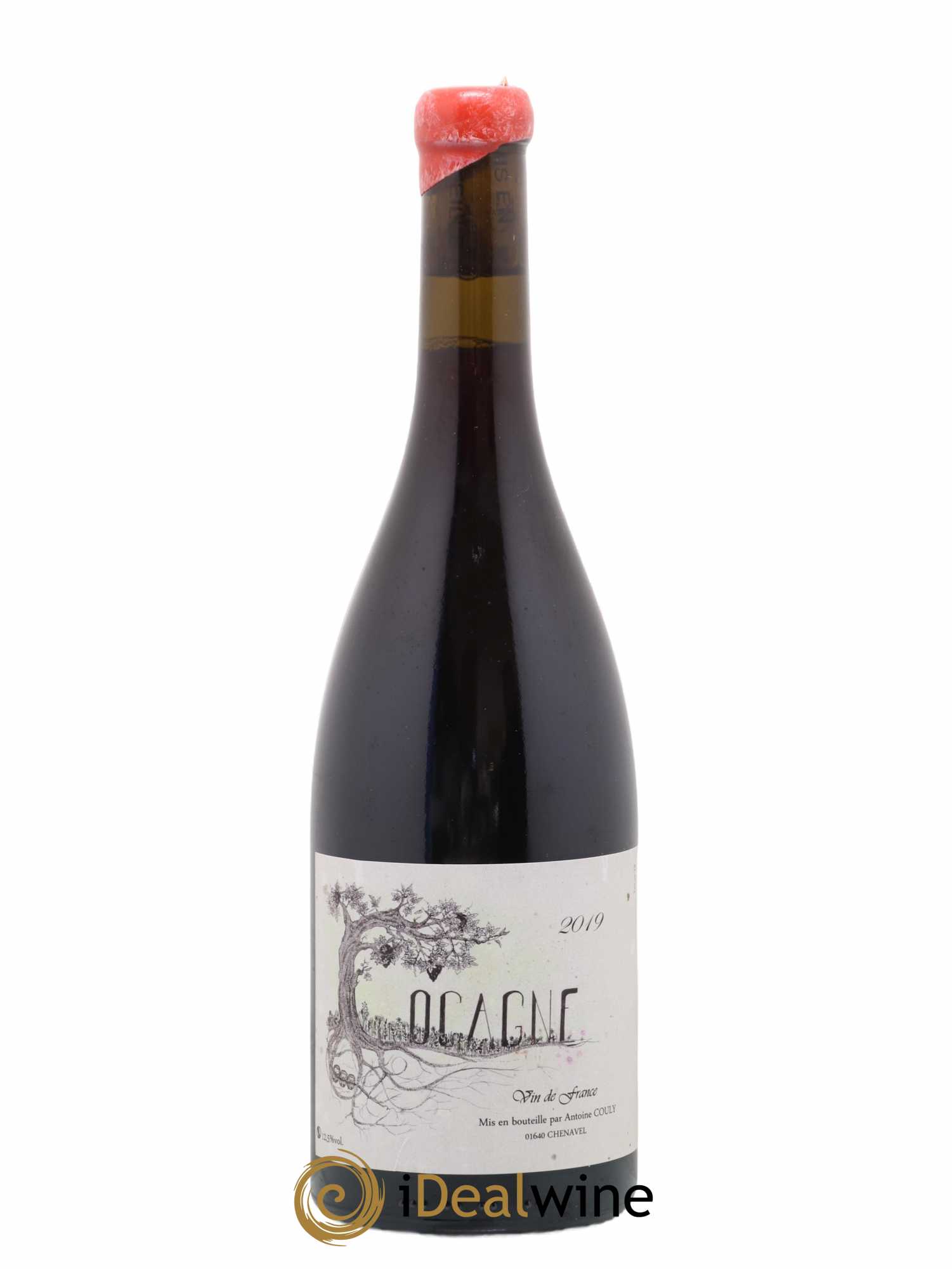 Vin de France Cocagne Couly 2019 - Posten von 1 Flasche - 0