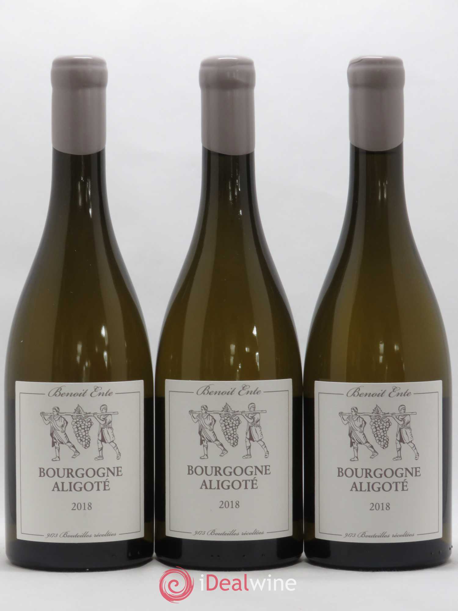 Bourgogne Aligoté Benoit Ente 2018 - Lot de 3 bouteilles - 0