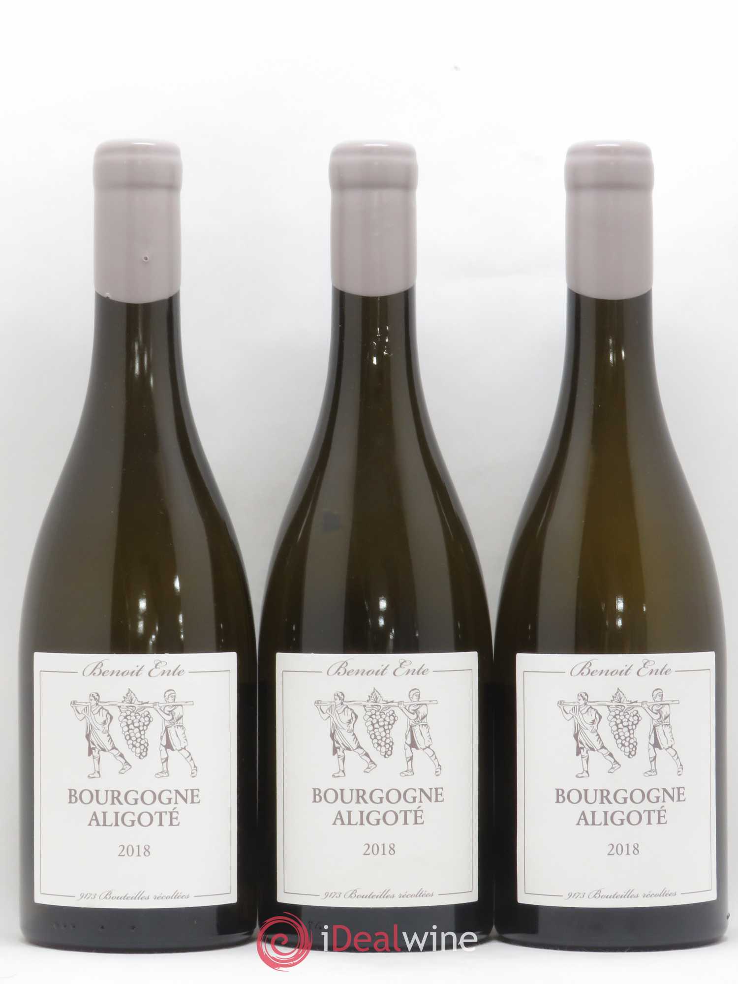 Bourgogne Aligoté Benoit Ente 2018 - Lot de 3 bouteilles - 0