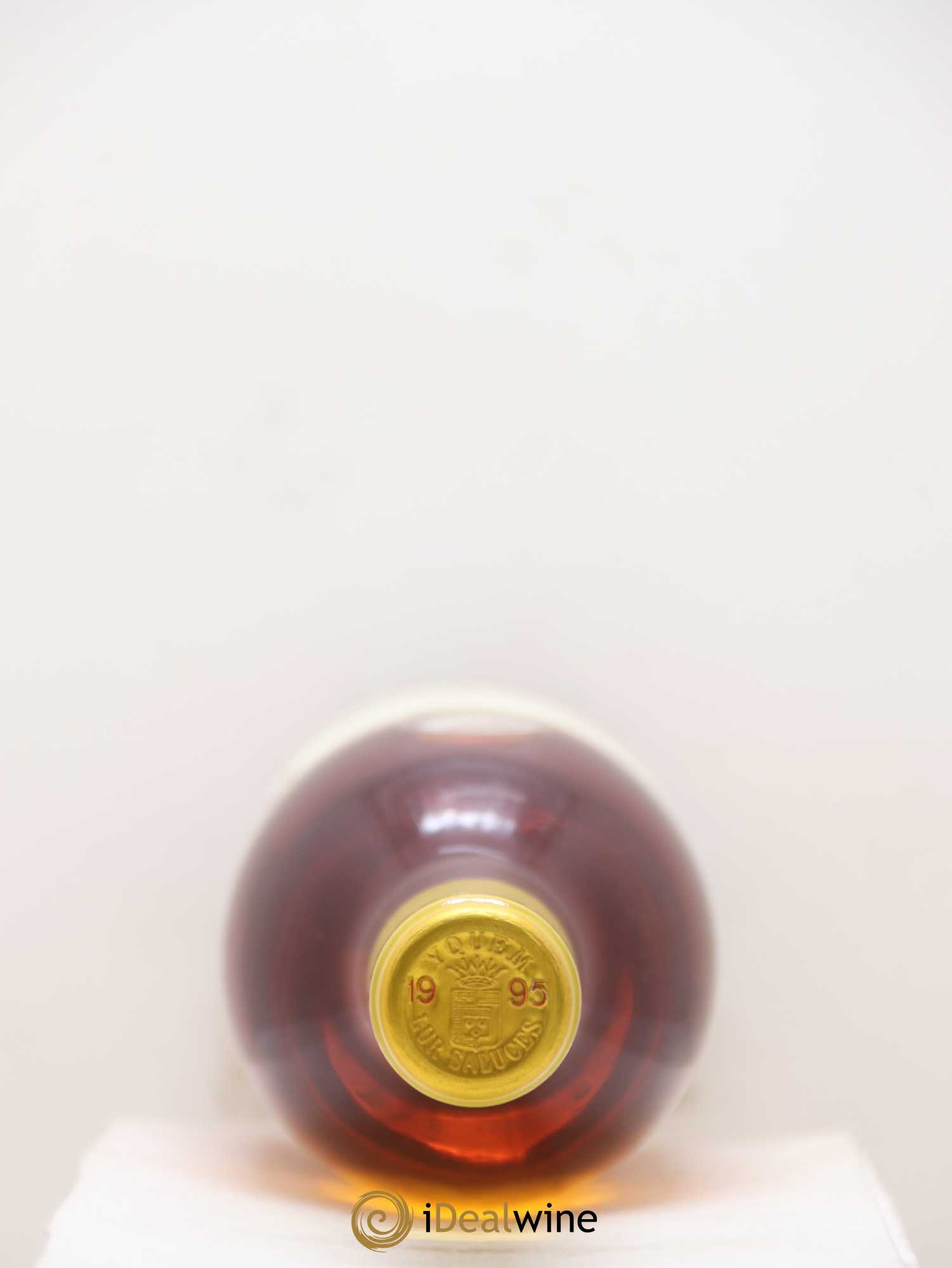 Château d' Yquem 1er Cru Classé Supérieur 1995 - Lotto di 1 bottiglia - 1