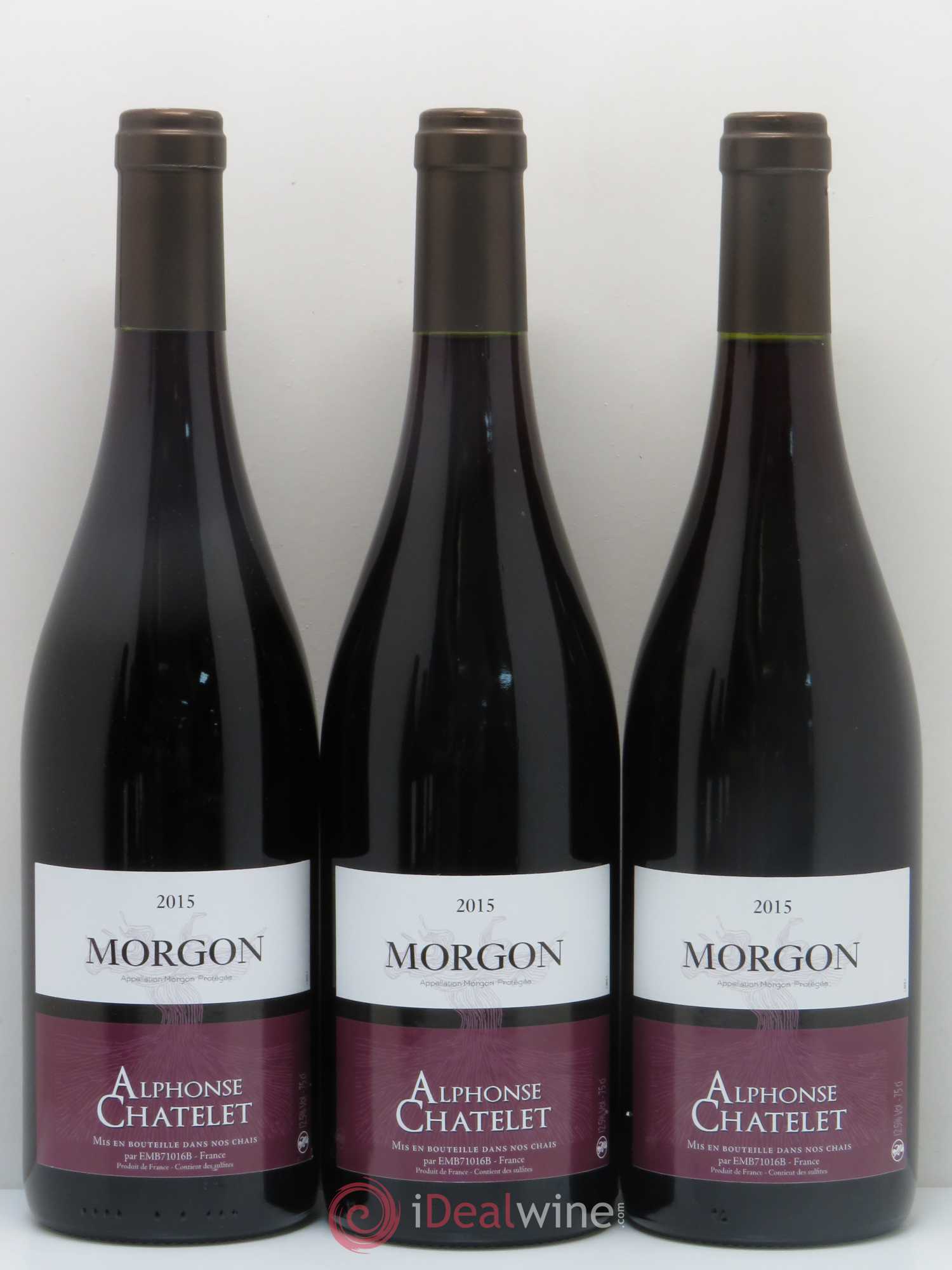 Morgon Domaine Chatelet (sans prix de réserve) 2015 - Posten von 6 Flaschen - 1