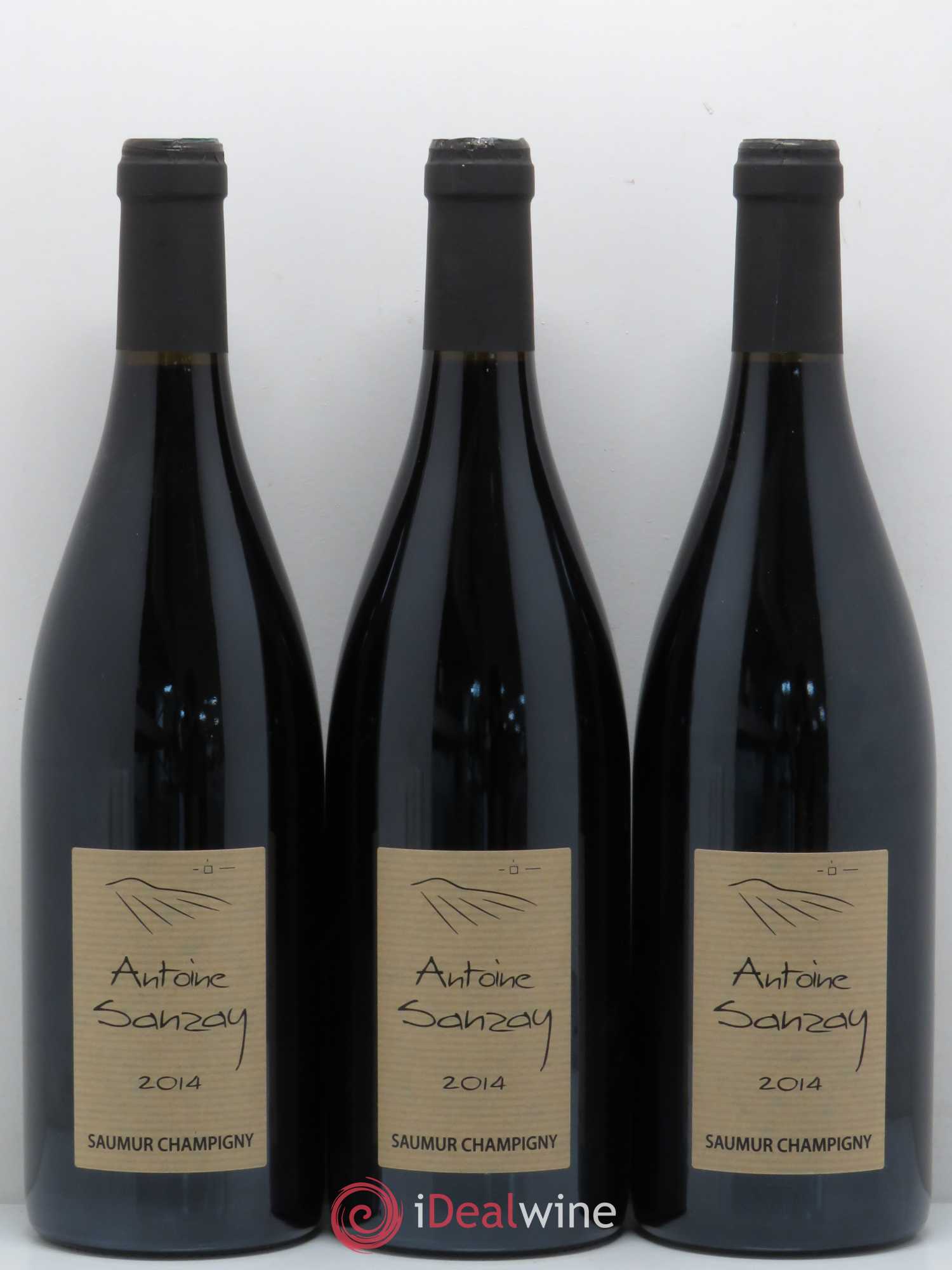 Saumur-Champigny Antoine Sanzay 2014 - Lot de 3 bouteilles - 0