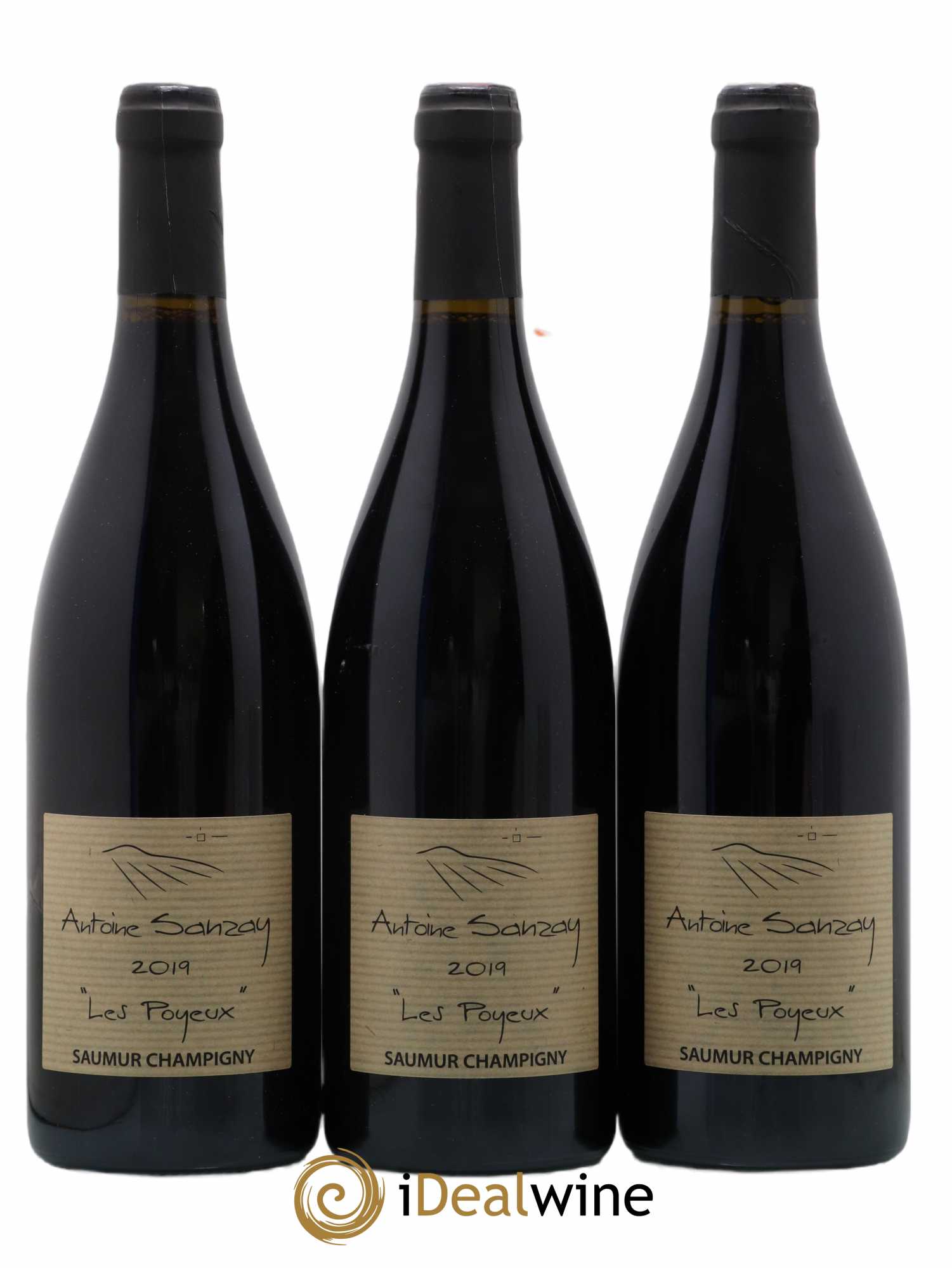 Saumur-Champigny Les Poyeux Antoine Sanzay 2019 - Lot de 3 bouteilles - 0