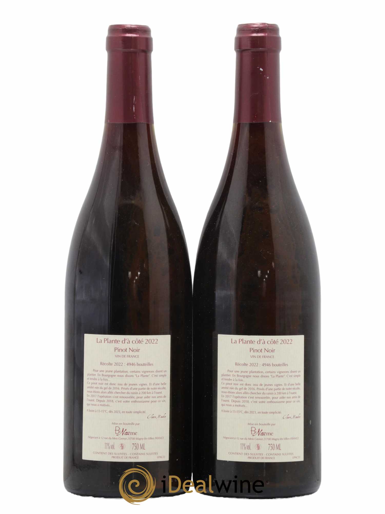 Vin de France La Plante d'à coté Binaume Bizot-Naudin 2022 - Lot de 2 bouteilles - 1