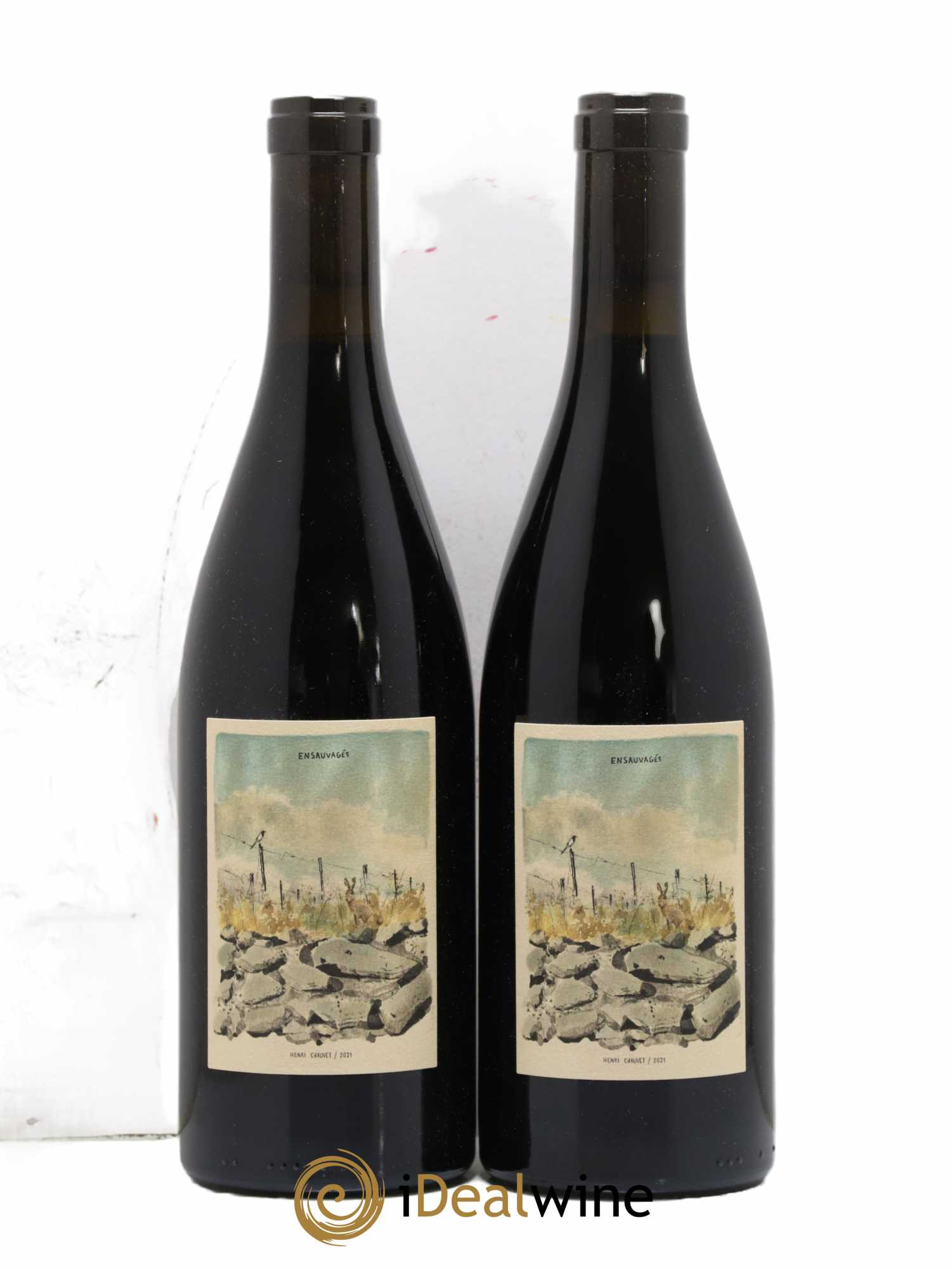 Côtes d'Auvergne Ensauvagés Henri Chauvet 2021 - Lot de 2 bouteilles - 0
