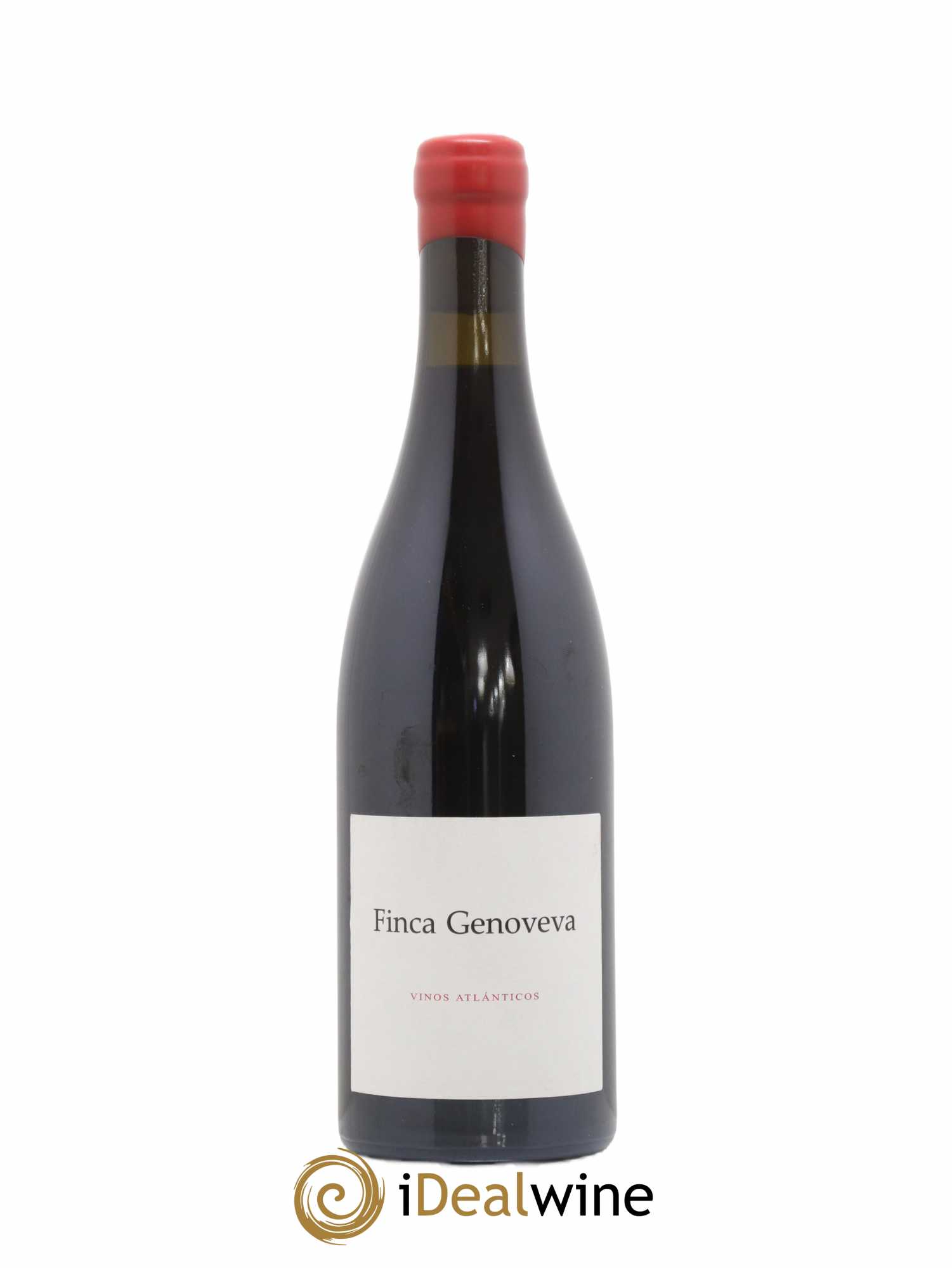 Espagne Finca Genoveva Caino Bodegas Forjas del Salnes Goliardo 2018 - Posten von 1 Flasche - 0