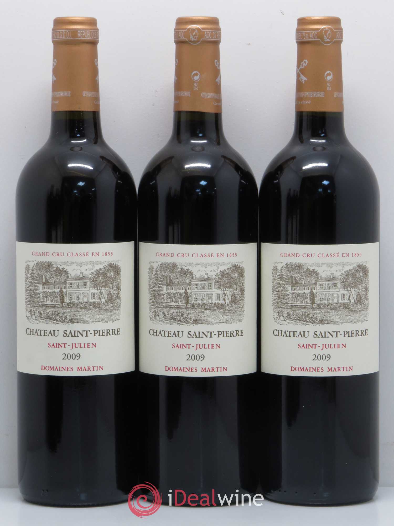 Château Saint-Pierre 4ème Grand Cru Classé 2009 - Lot de 6 bouteilles - 1