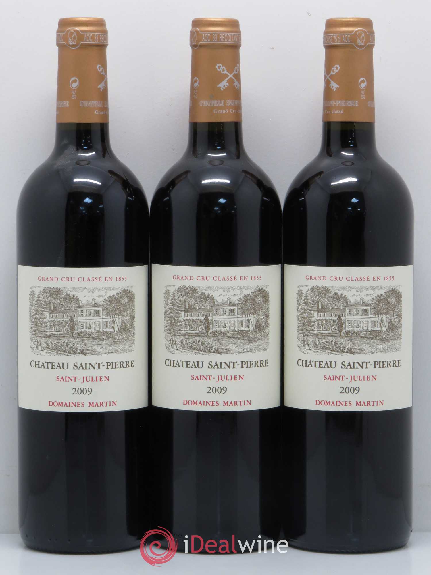 Château Saint-Pierre 4ème Grand Cru Classé 2009 - Lot de 6 bouteilles - 2