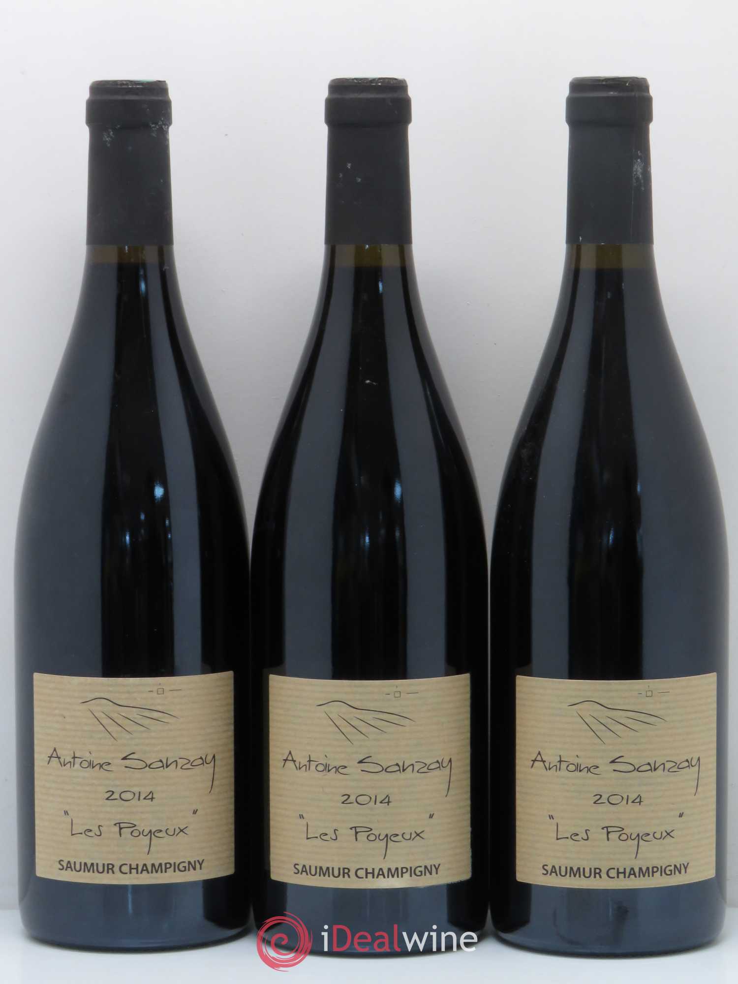 Saumur-Champigny Les Poyeux Antoine Sanzay 2014 - Lot de 3 bouteilles - 0