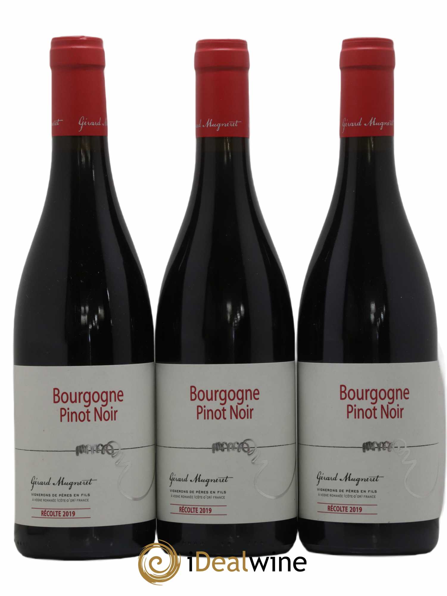 Bourgogne Pinot Noir Gérard Mugneret 2019 - Posten von 3 Flaschen - 0