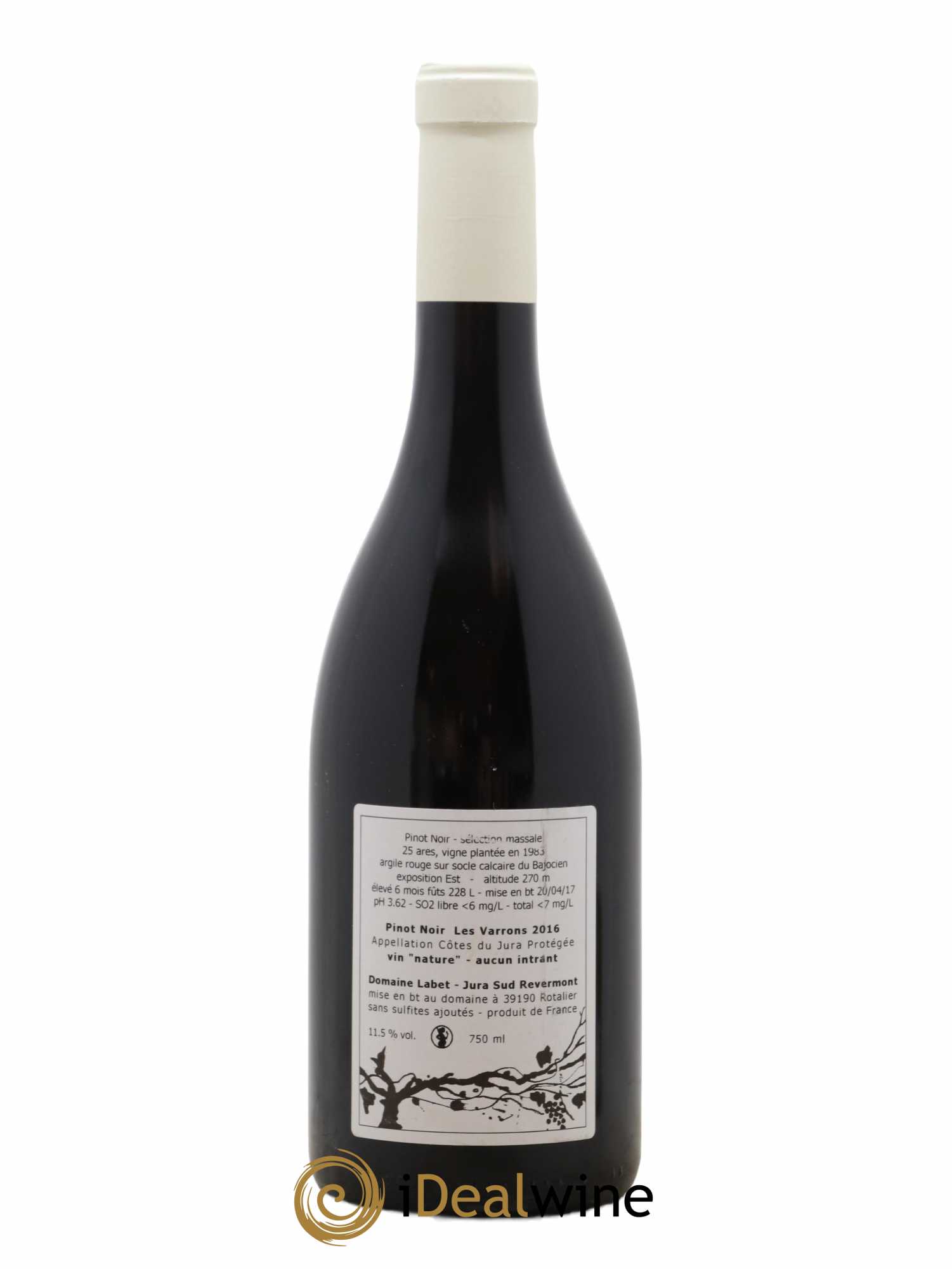 Côtes du Jura Pinot Noir Les Varrons Sélection Massale Romain - Julien - Charline Labet 2016 - Lot de 1 bouteille - 1
