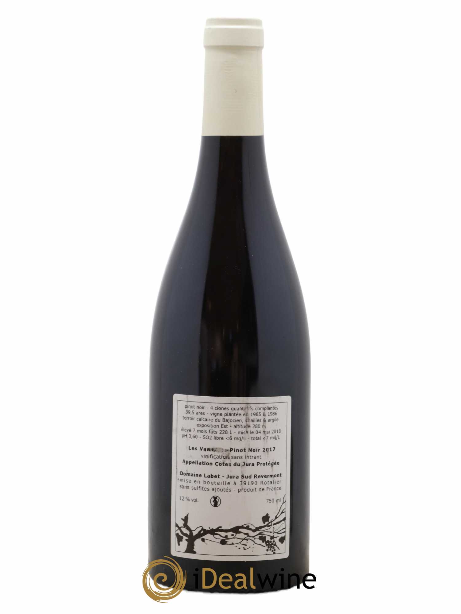 Côtes du Jura Pinot Noir Les Varrons Sélection Massale Romain - Julien - Charline Labet 2017 - Lot de 1 bouteille - 1
