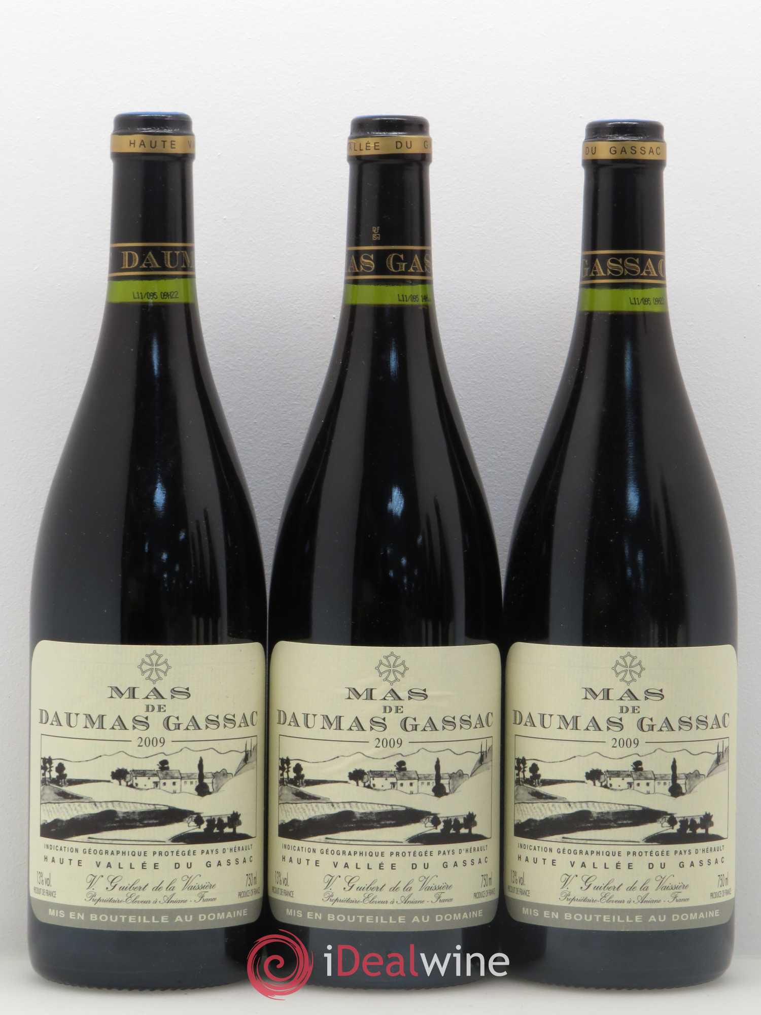 Saint-Guilhem-le-Désert - Cité d'Aniane Mas Daumas Gassac Famille Guibert de La Vaissière 2009 - Lot de 12 bouteilles - 1