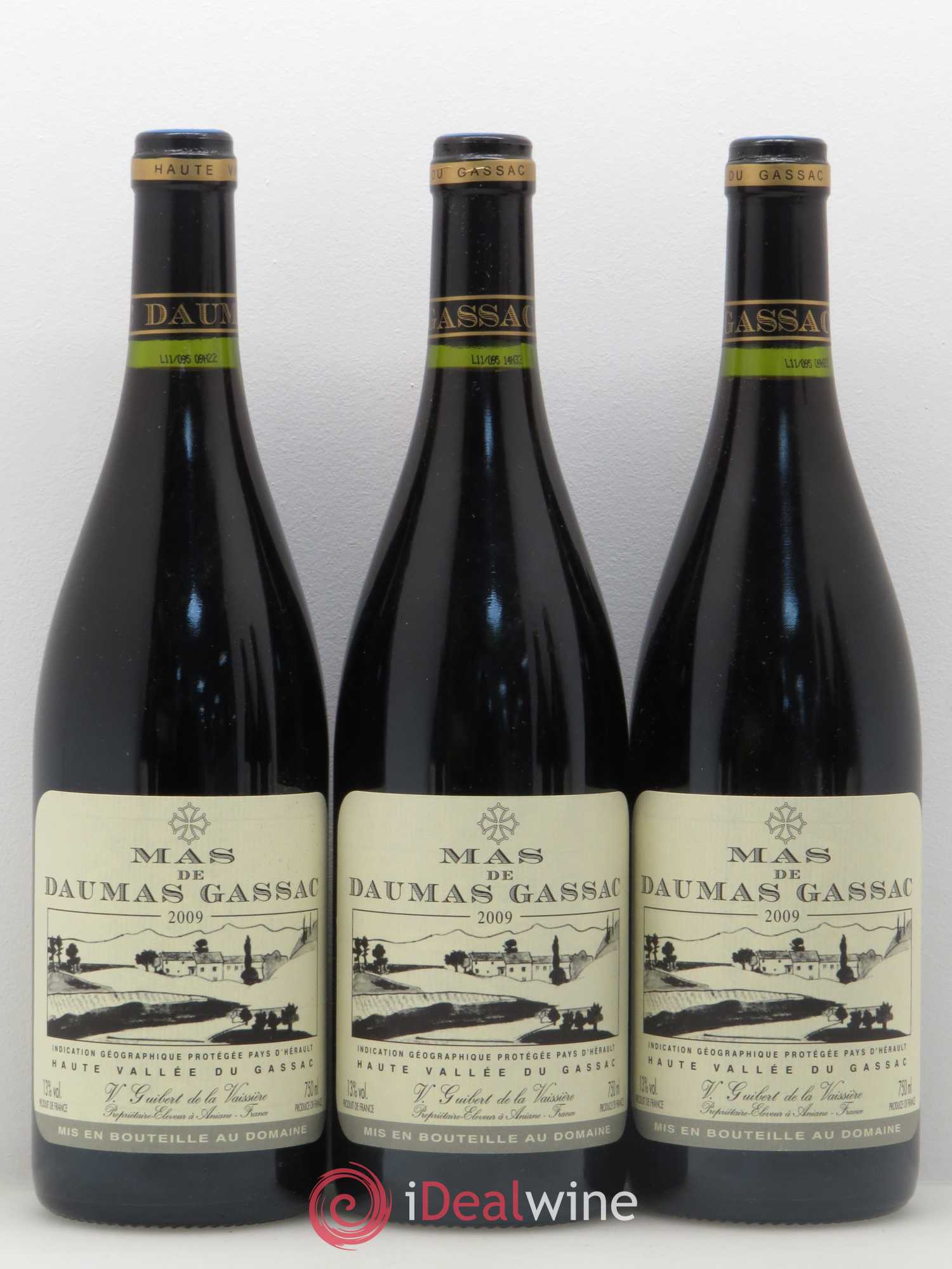 Saint-Guilhem-le-Désert - Cité d'Aniane Mas Daumas Gassac Famille Guibert de La Vaissière 2009 - Lot de 12 bouteilles - 2