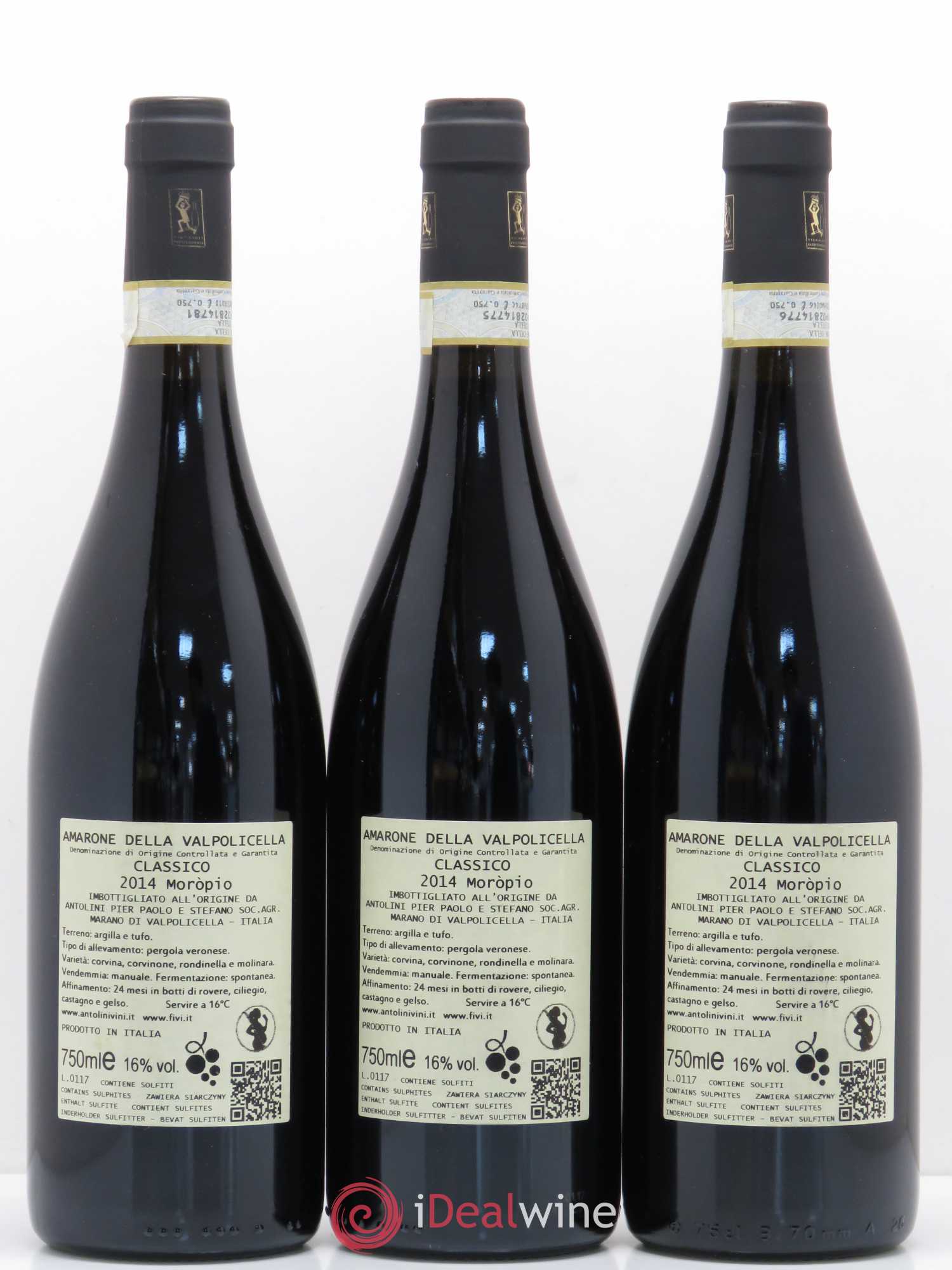Amarone della Valpolicella DOC Classico Moropio Antolini 2014 - Lot of 3 bottles - 1
