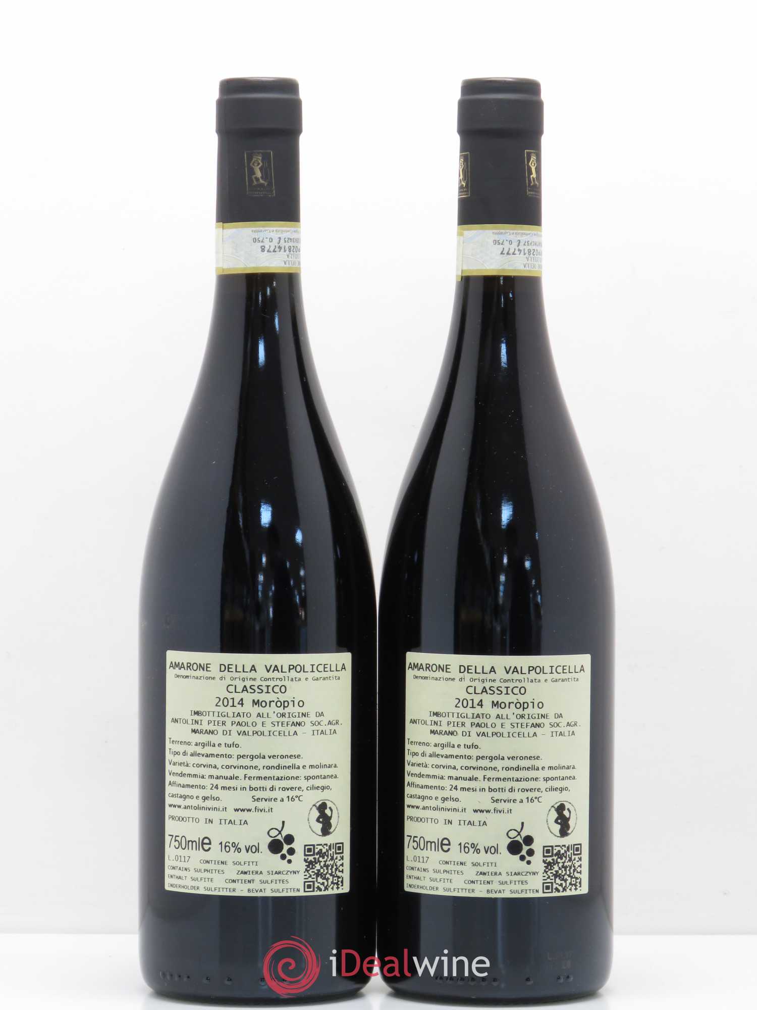Amarone della Valpolicella DOC Classico Moropio Antolini 2014 - Posten von 2 Flaschen - 1