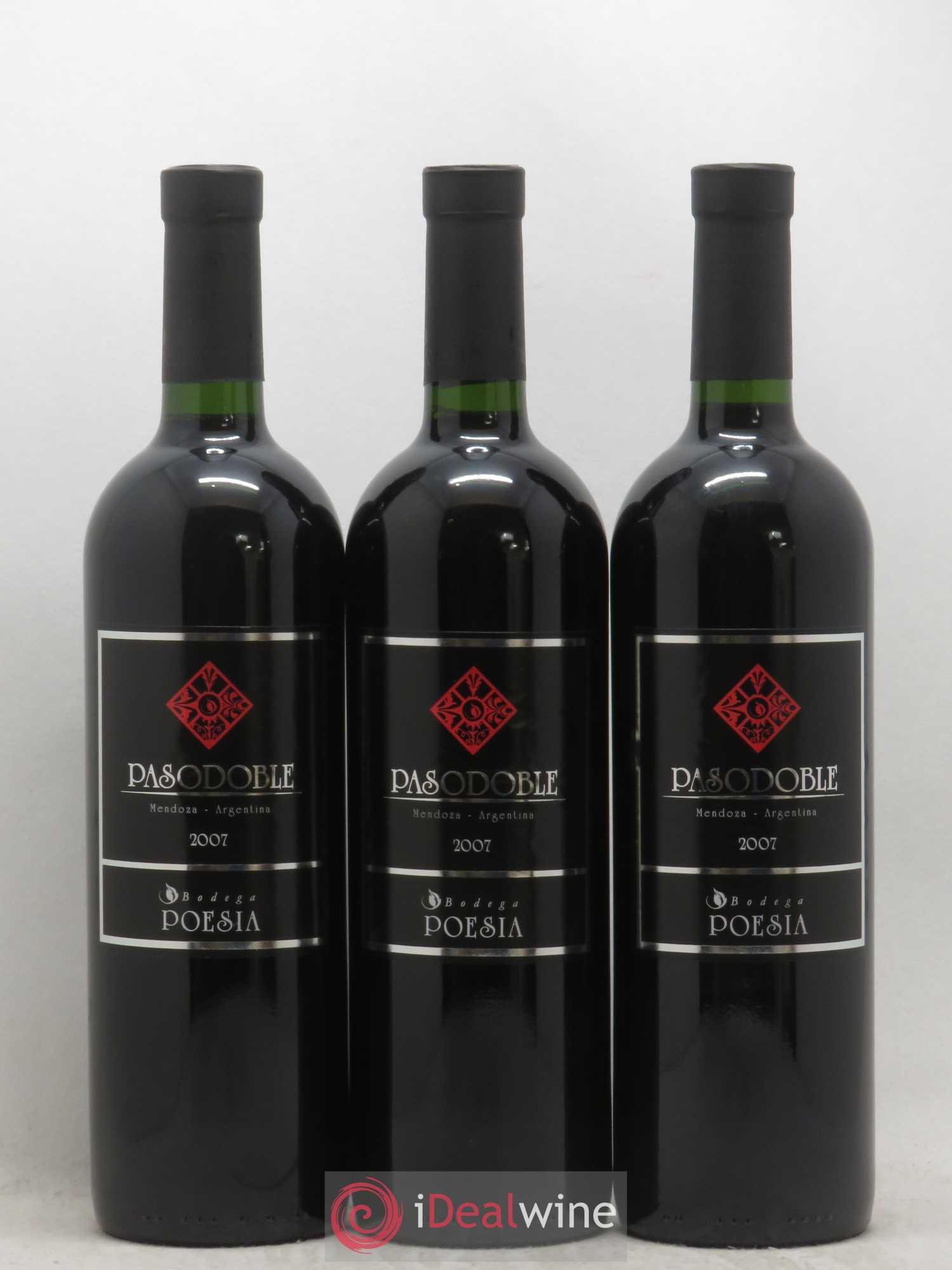 Mendoza Pasodoble Bodega Poesia (sans prix de réserve) 2007 - Posten von 6 Flaschen - 2
