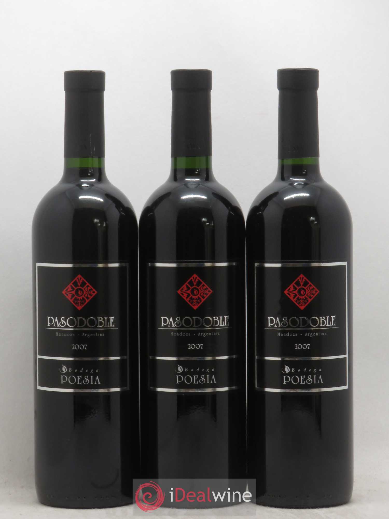 Mendoza Pasodoble Bodega Poesia (sans prix de réserve) 2007 - Posten von 6 Flaschen - 2