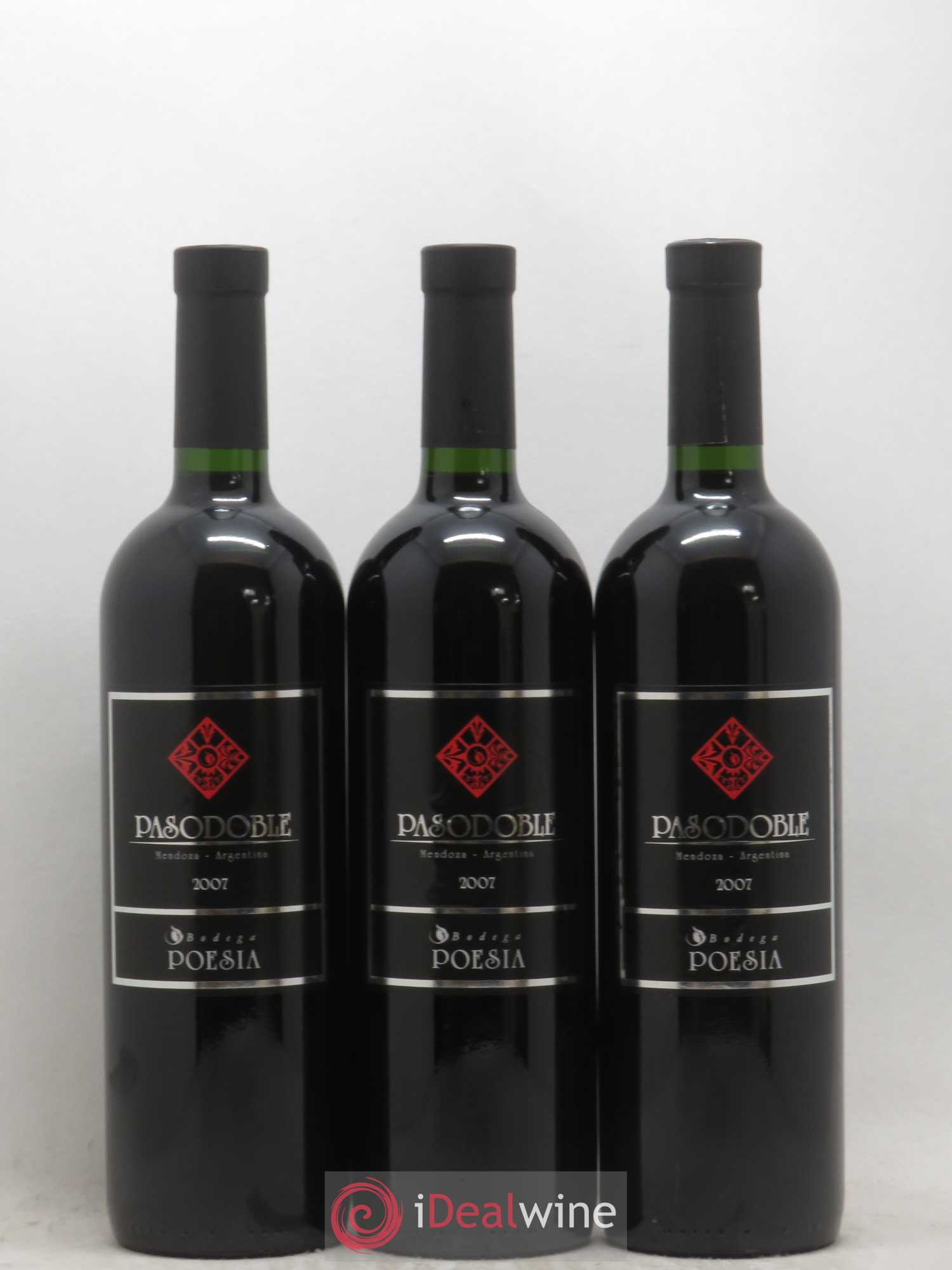 Mendoza Pasodoble Bodega Poesia (sans prix de réserve) 2007 - Posten von 6 Flaschen - 2