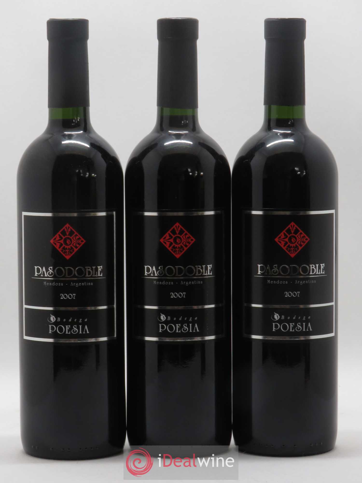 Mendoza Pasodoble Bodega Poesia (sans prix de réserve) 2007 - Posten von 12 Flaschen - 1