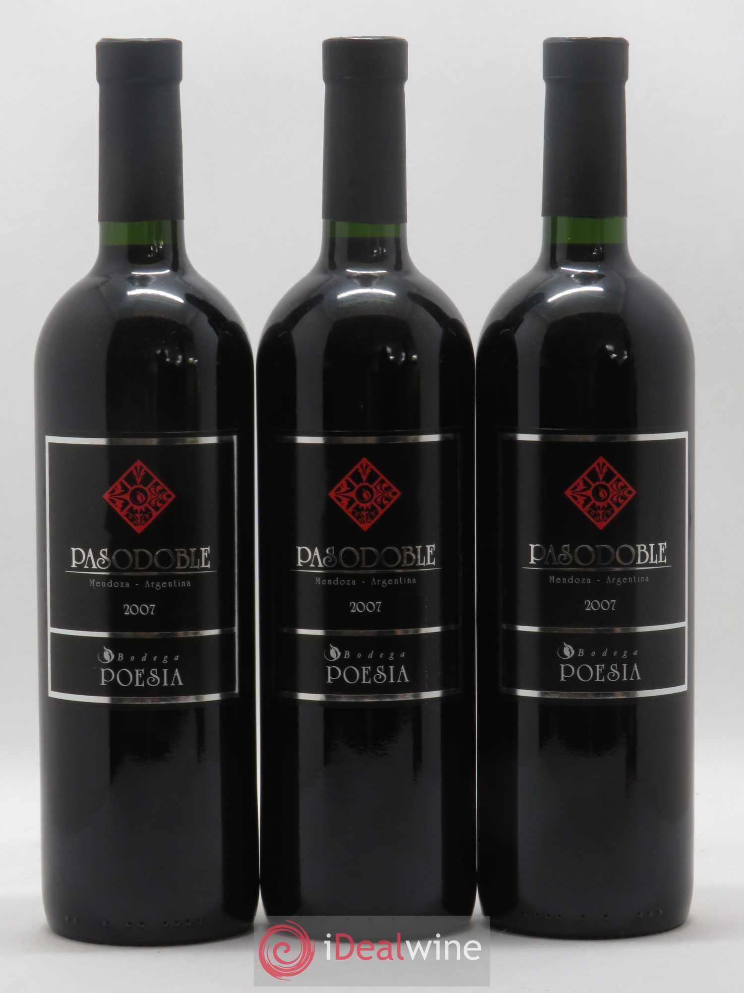 Mendoza Pasodoble Bodega Poesia (sans prix de réserve) 2007 - Posten von 12 Flaschen - 2