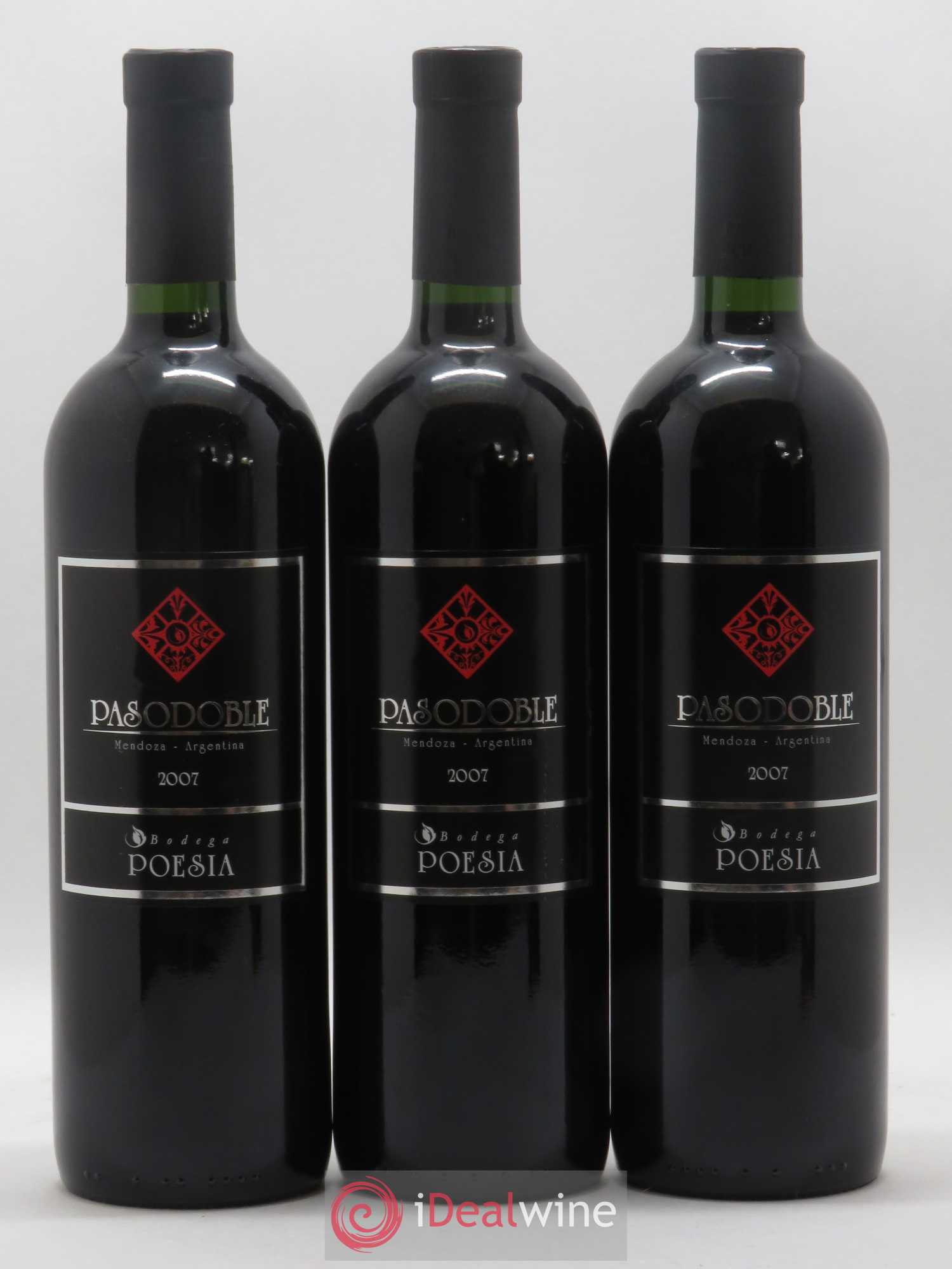 Mendoza Pasodoble Bodega Poesia (sans prix de réserve) 2007 - Posten von 12 Flaschen - 4