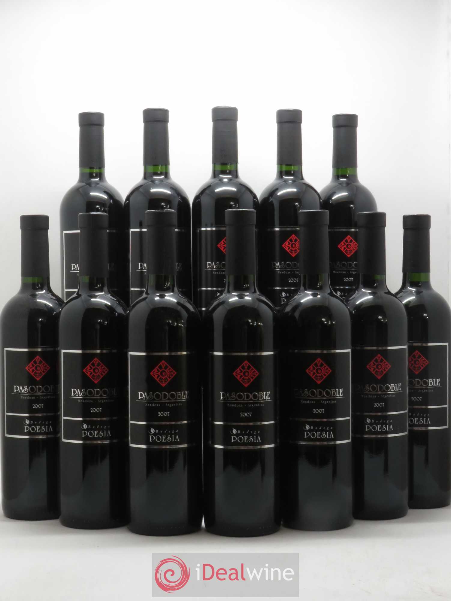 Mendoza Pasodoble Bodega Poesia (sans prix de réserve) 2007 - Posten von 12 Flaschen - 0