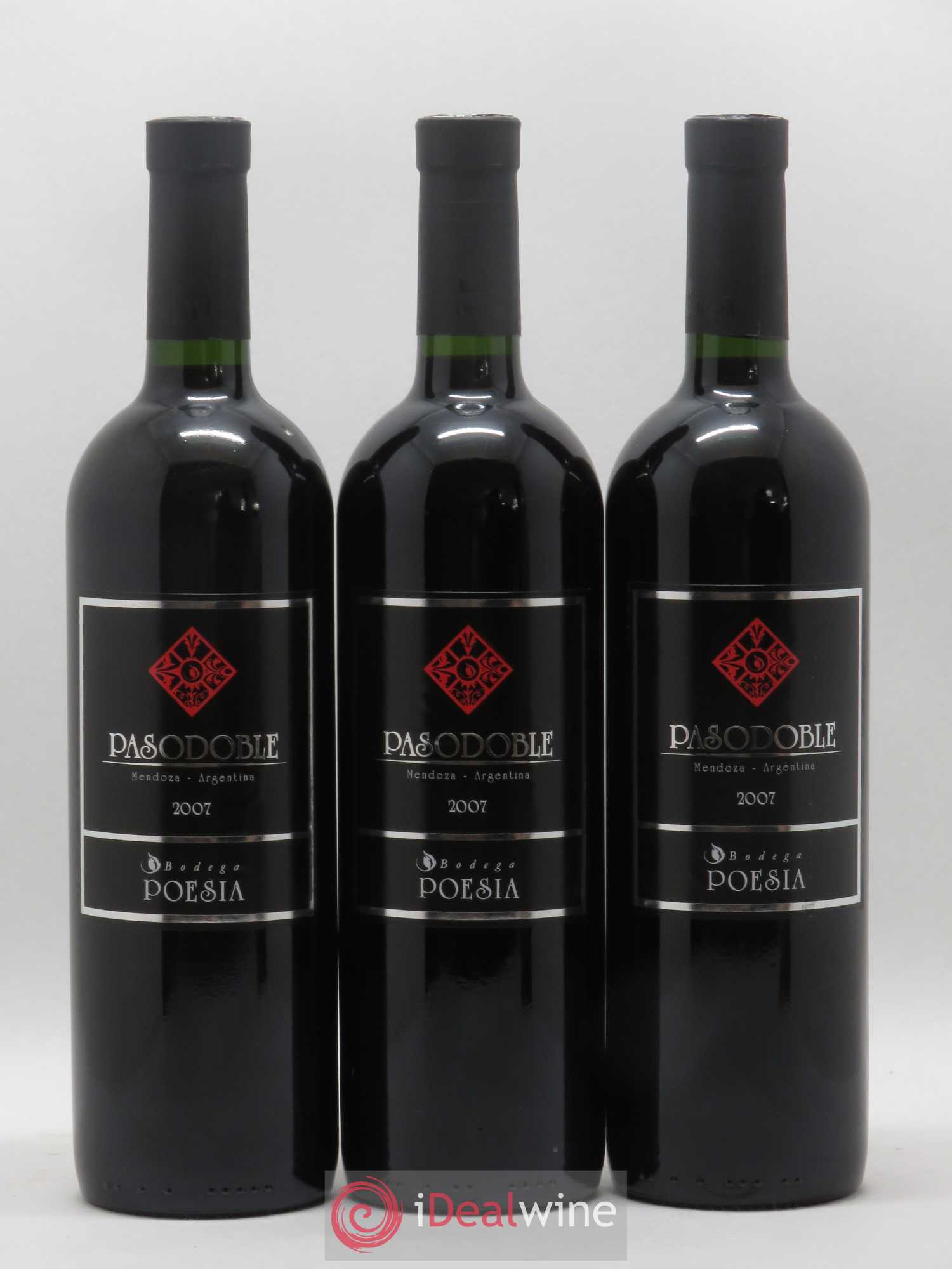 Mendoza Pasodoble Bodega Poesia (sans prix de réserve) 2007 - Posten von 6 Flaschen - 1
